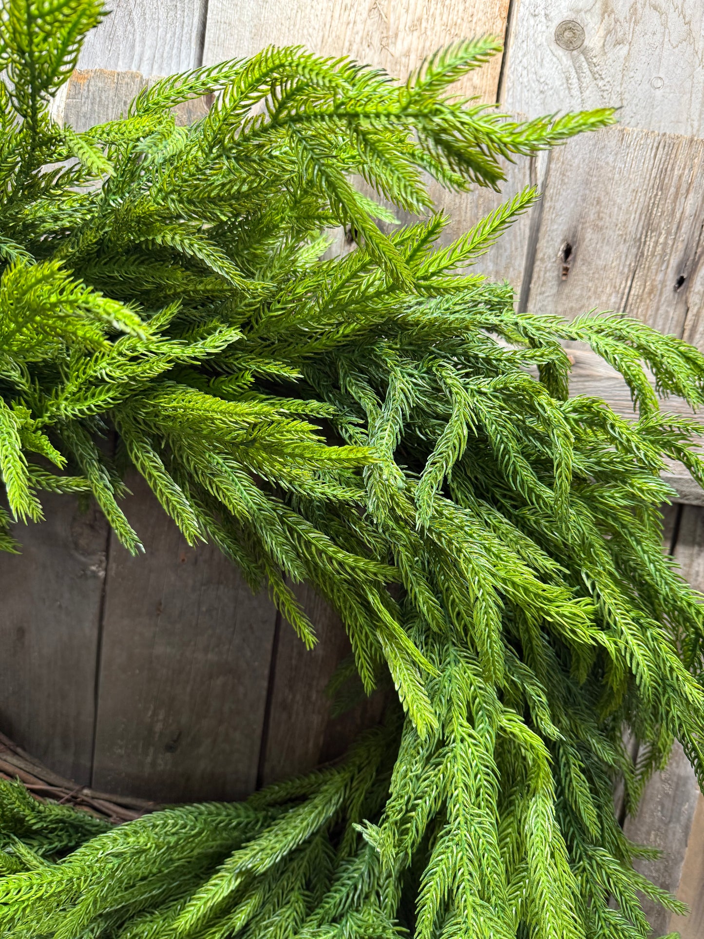 Wreath, 24” NATURAL TOUCH NORFOLK PINE