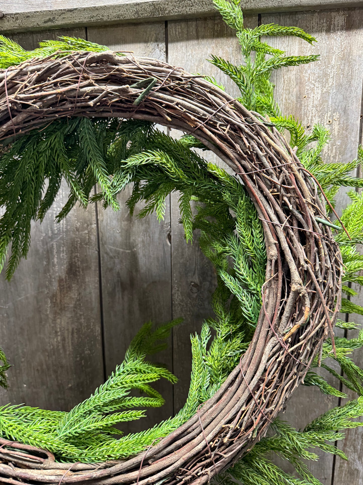 Wreath, 24” NATURAL TOUCH NORFOLK PINE