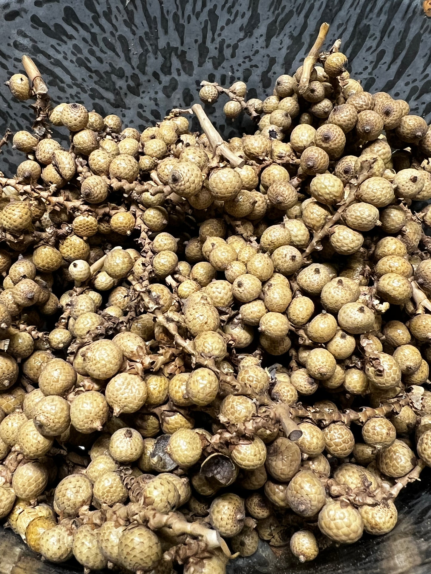 Canella Berries, 4 ounce