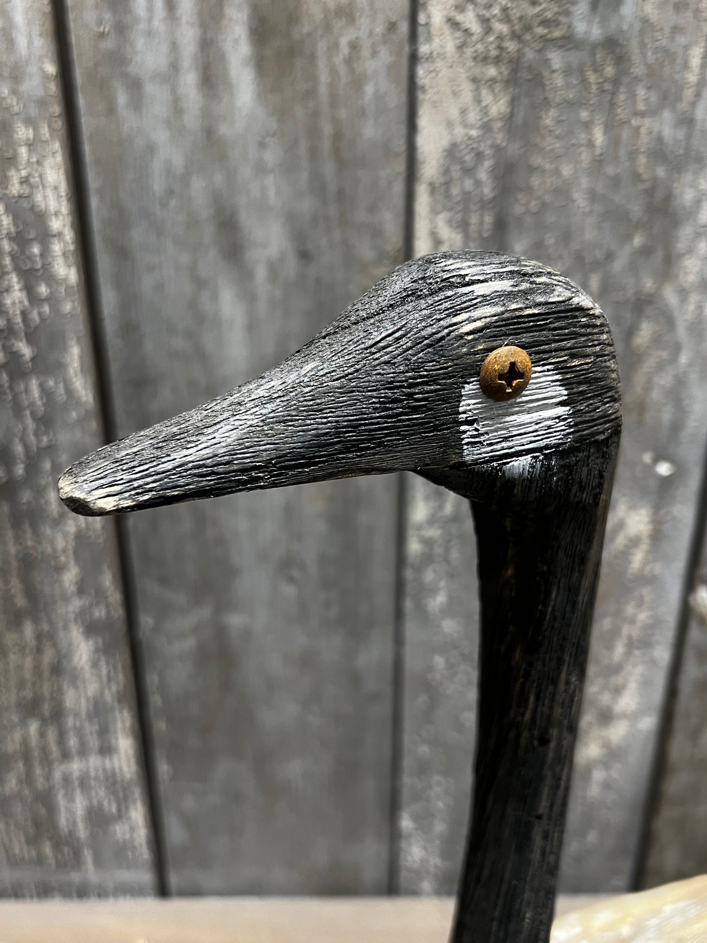 Shelf Sitter, GOOSE
