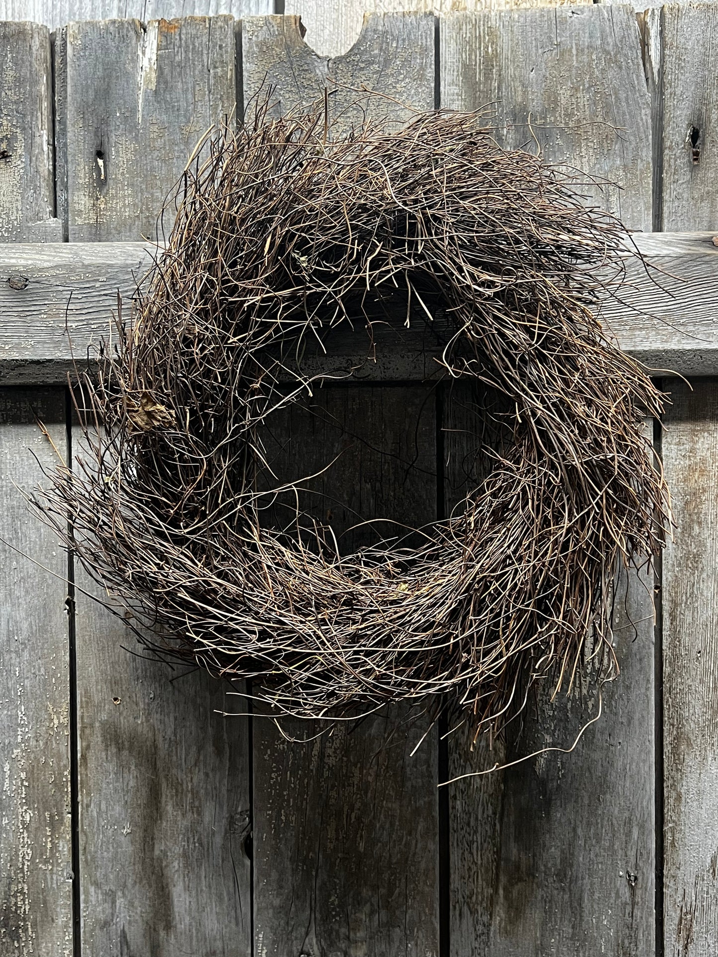 Wreath, Angel Vine, LARGE