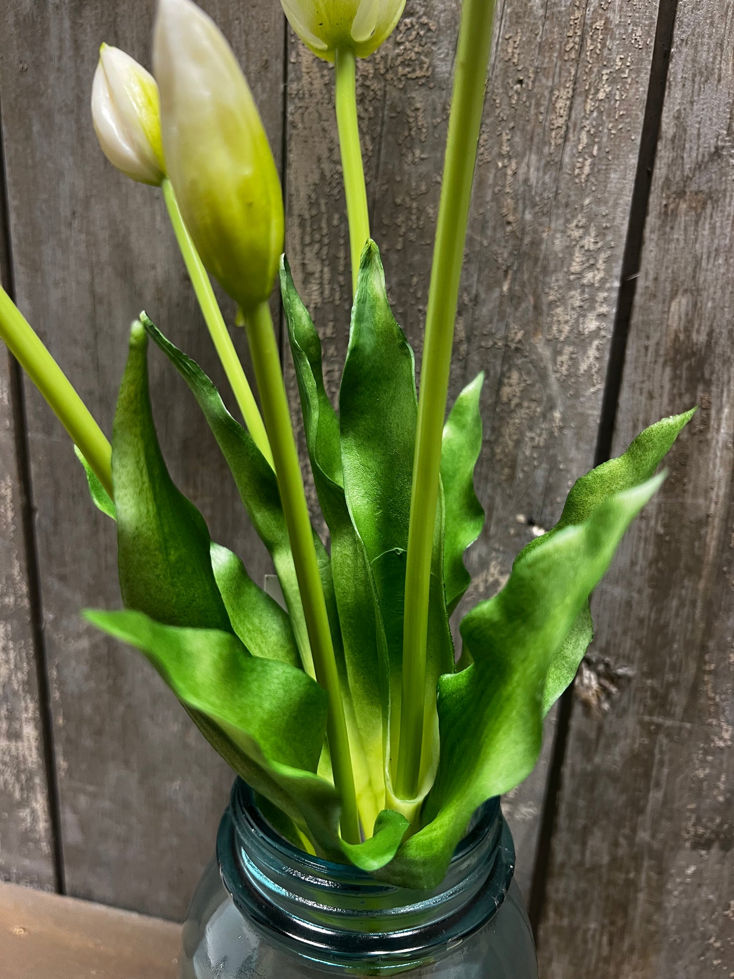 Bunch, Real Feel Tulips, WHITE
