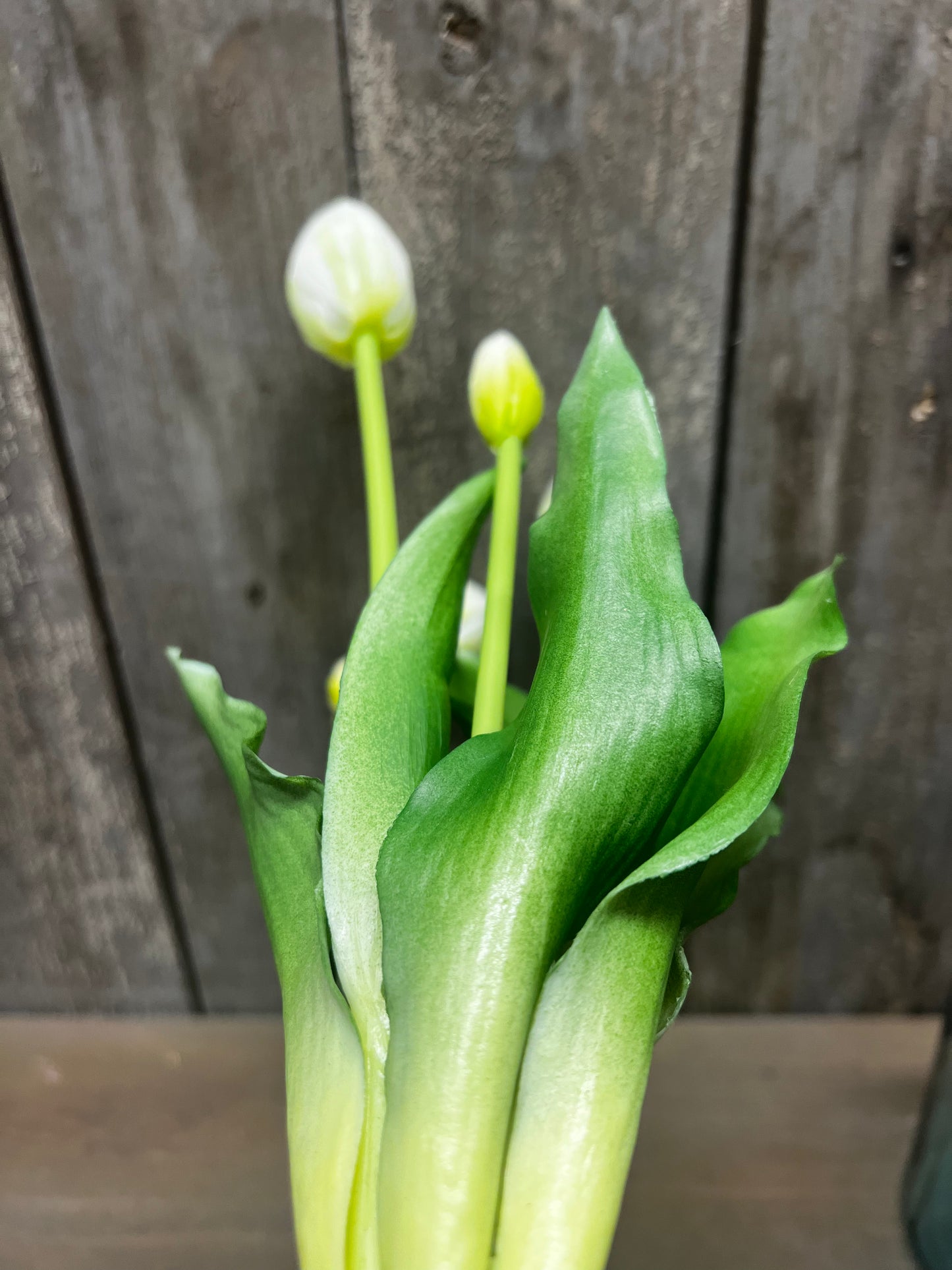 Bunch, Real Feel Tulips, WHITE