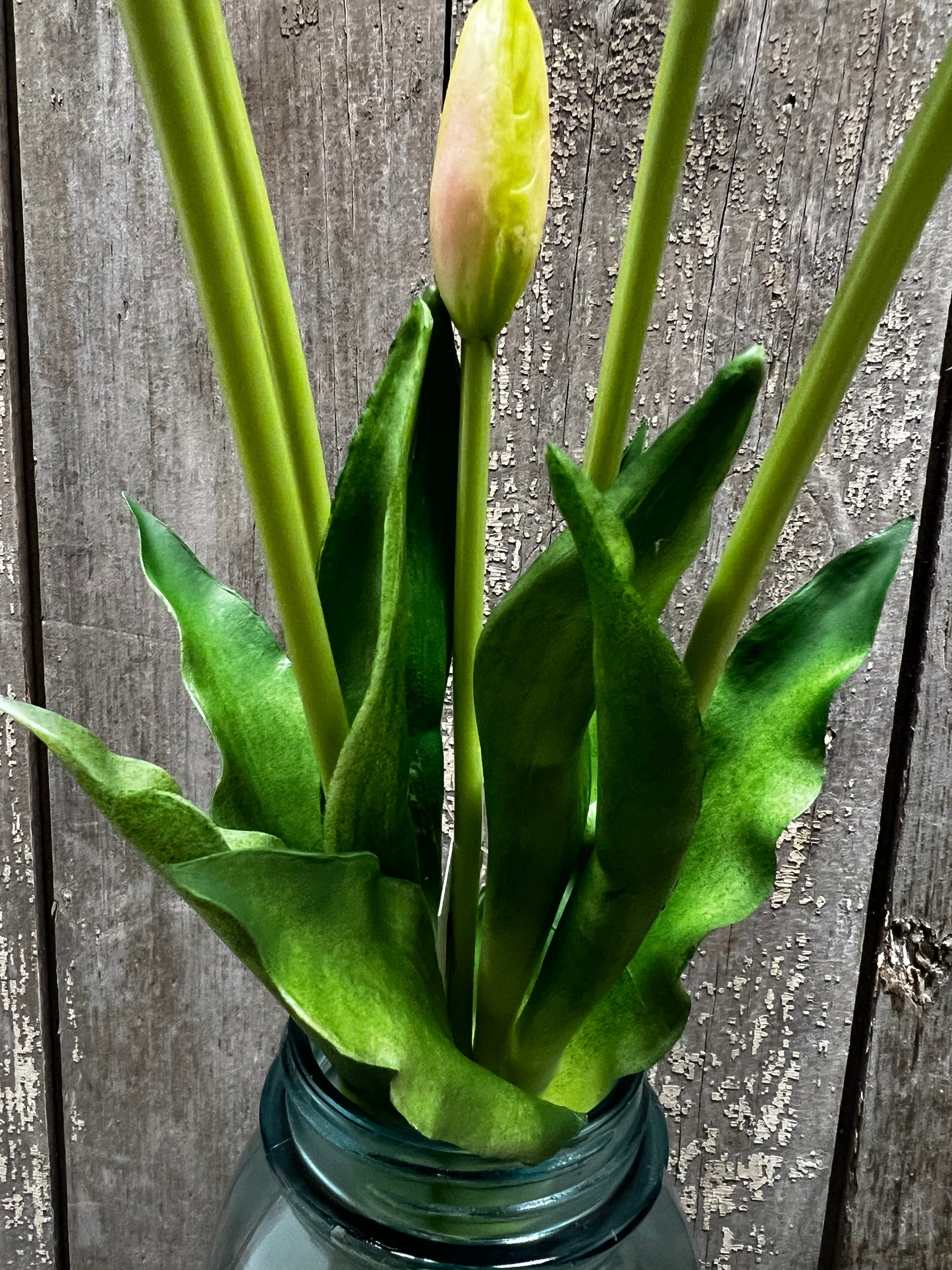 Bunch, Real Feel Tulips, LIGHT PINK