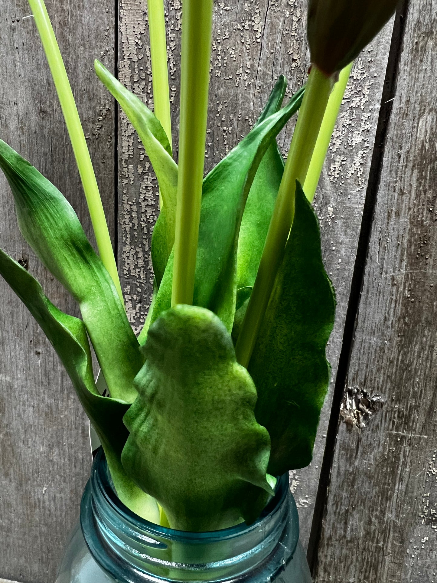 Bunch, Real Feel Tulips, RED