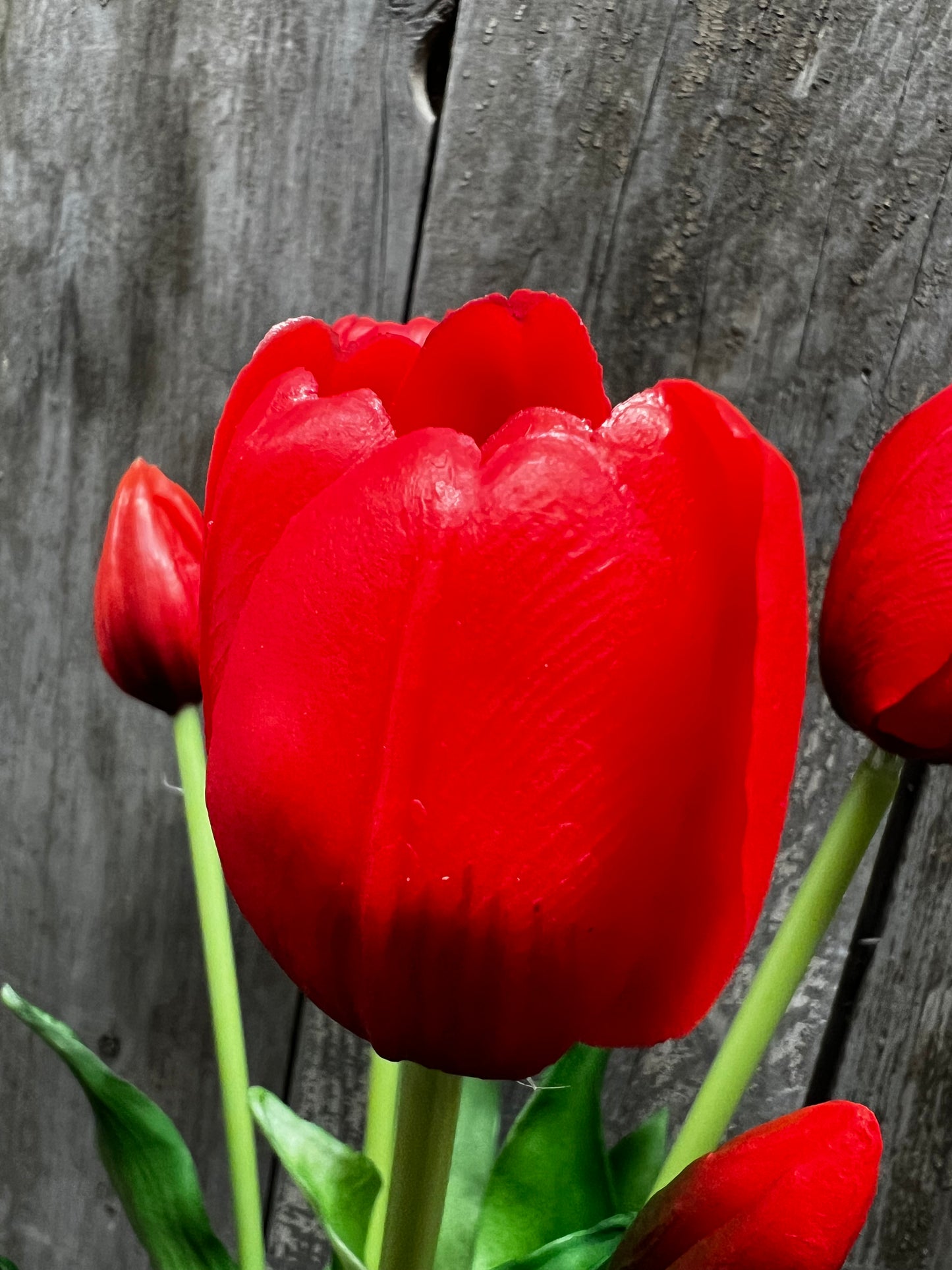 Bunch, Real Feel Tulips, RED