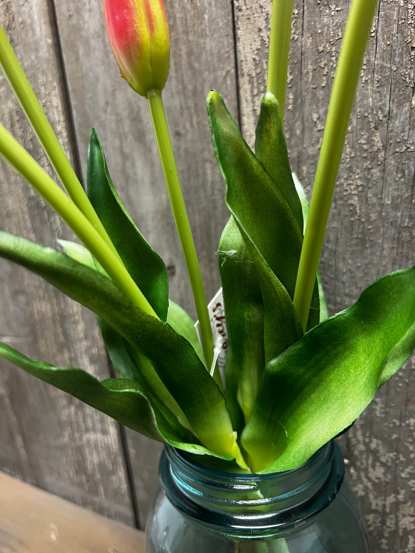 Bunch, Real Feel Tulips, PINK