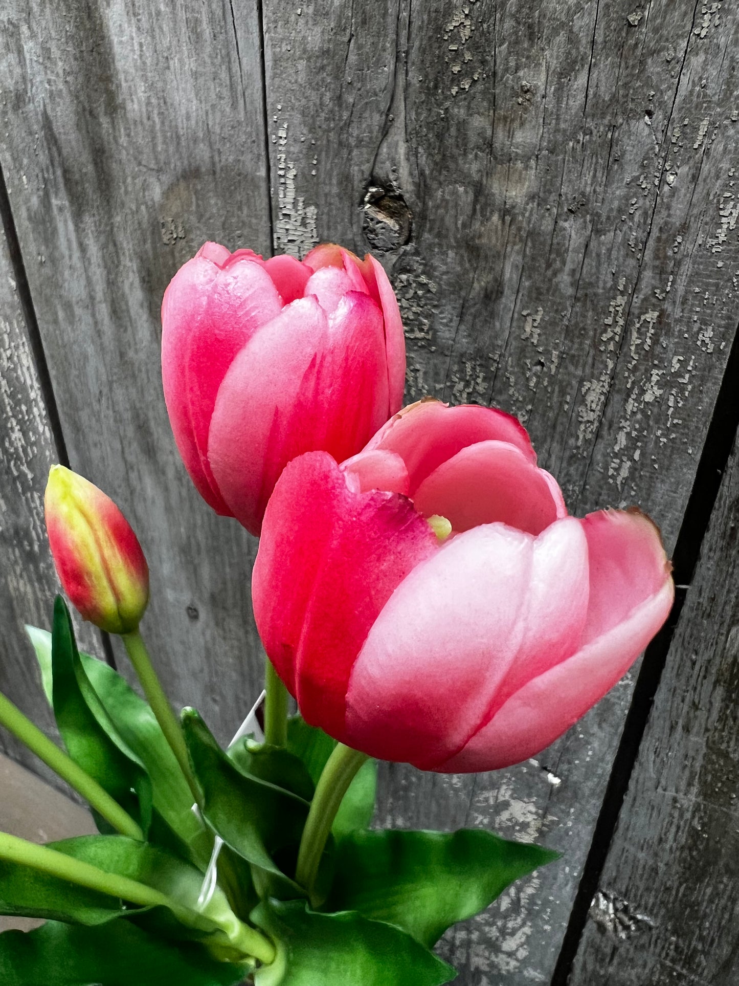 Bunch, Real Feel Tulips, PINK