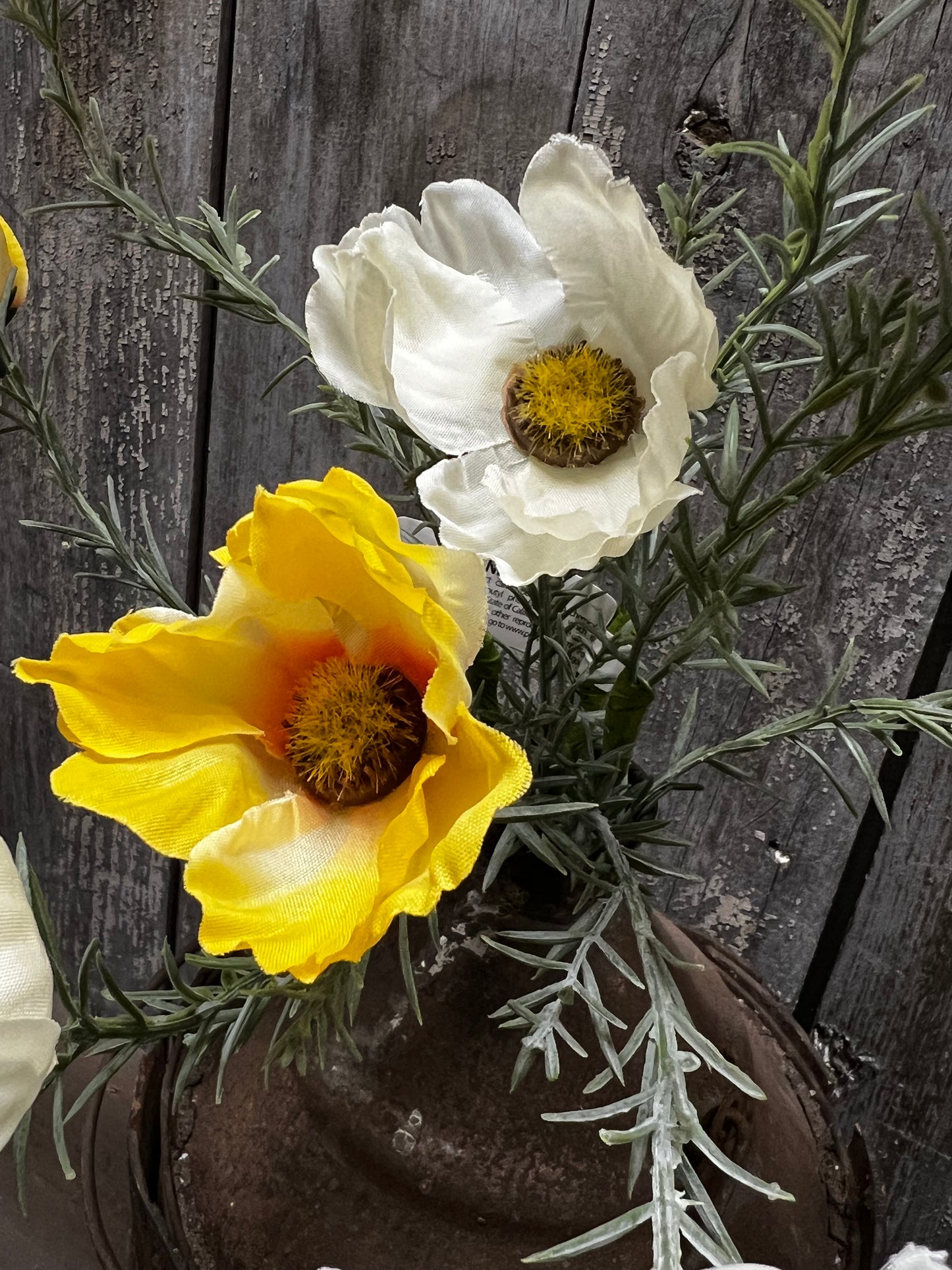 Bouquet, Cosmos, SUNSHINE