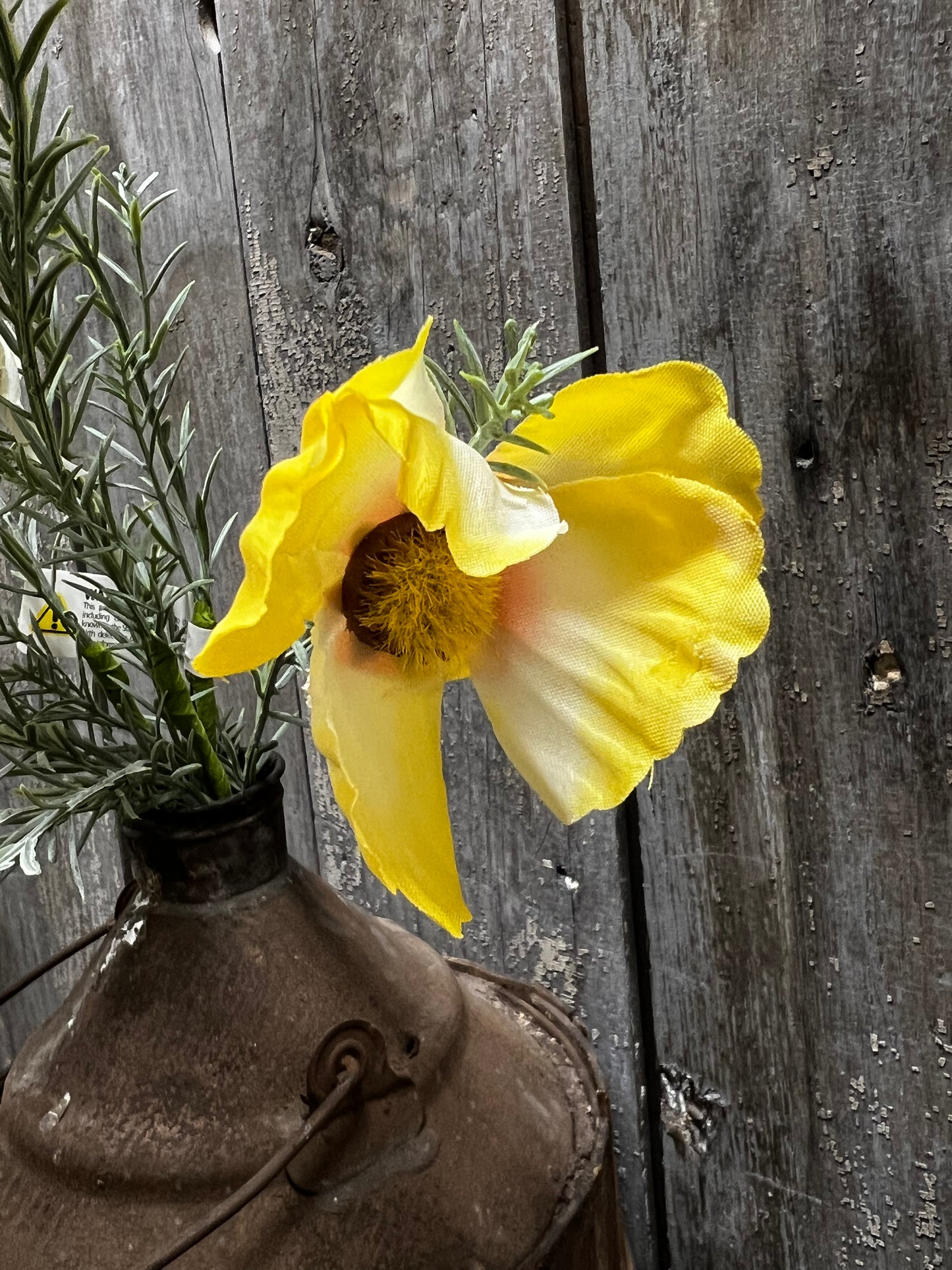 Bouquet, Cosmos, SUNSHINE