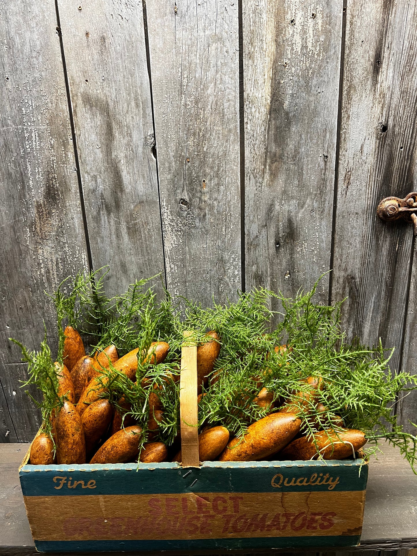 Carrot, PAINTED GOURD, ASSORTED