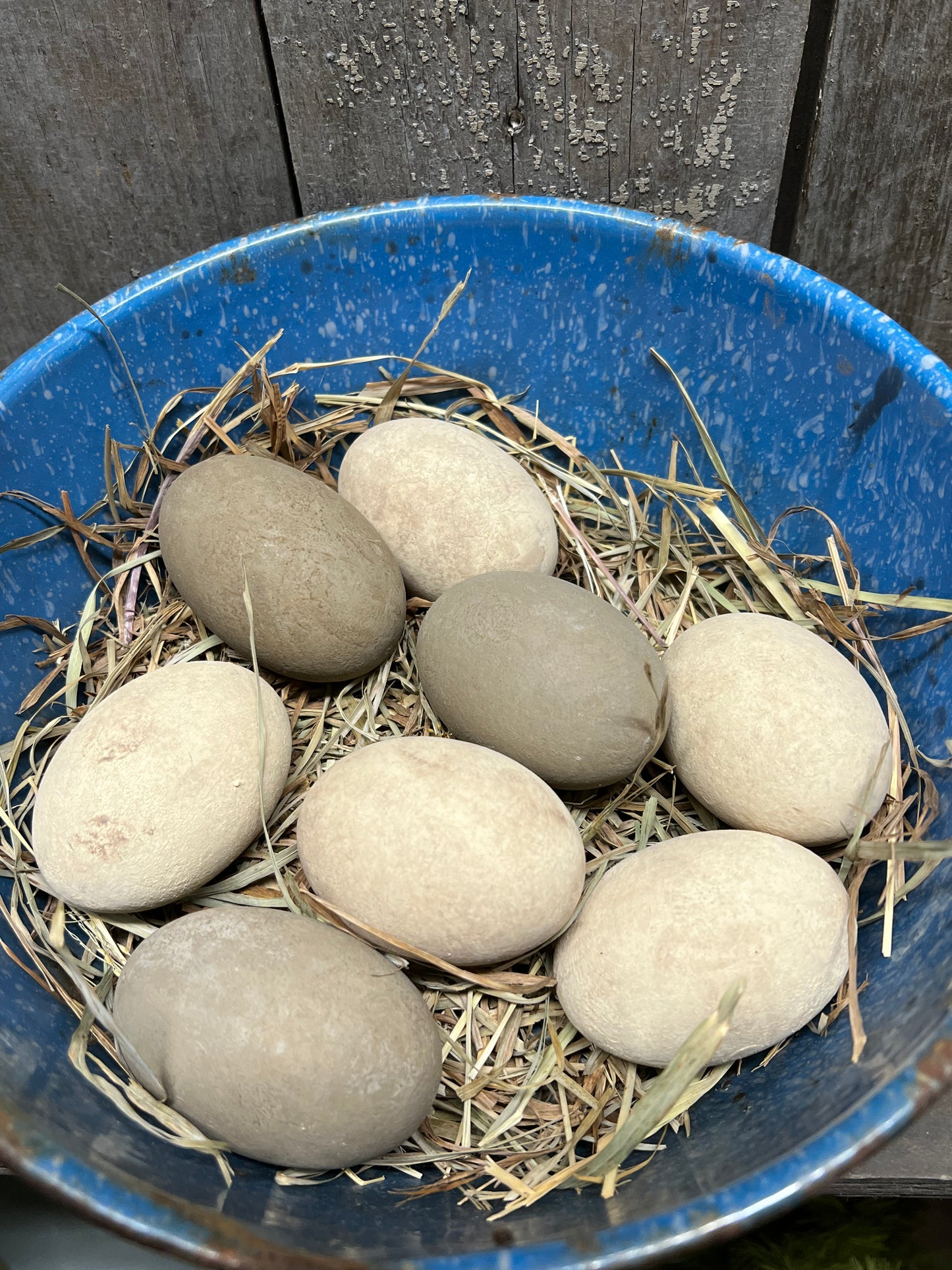 Eggs & Grass, Set/8, CREAM & BROWN