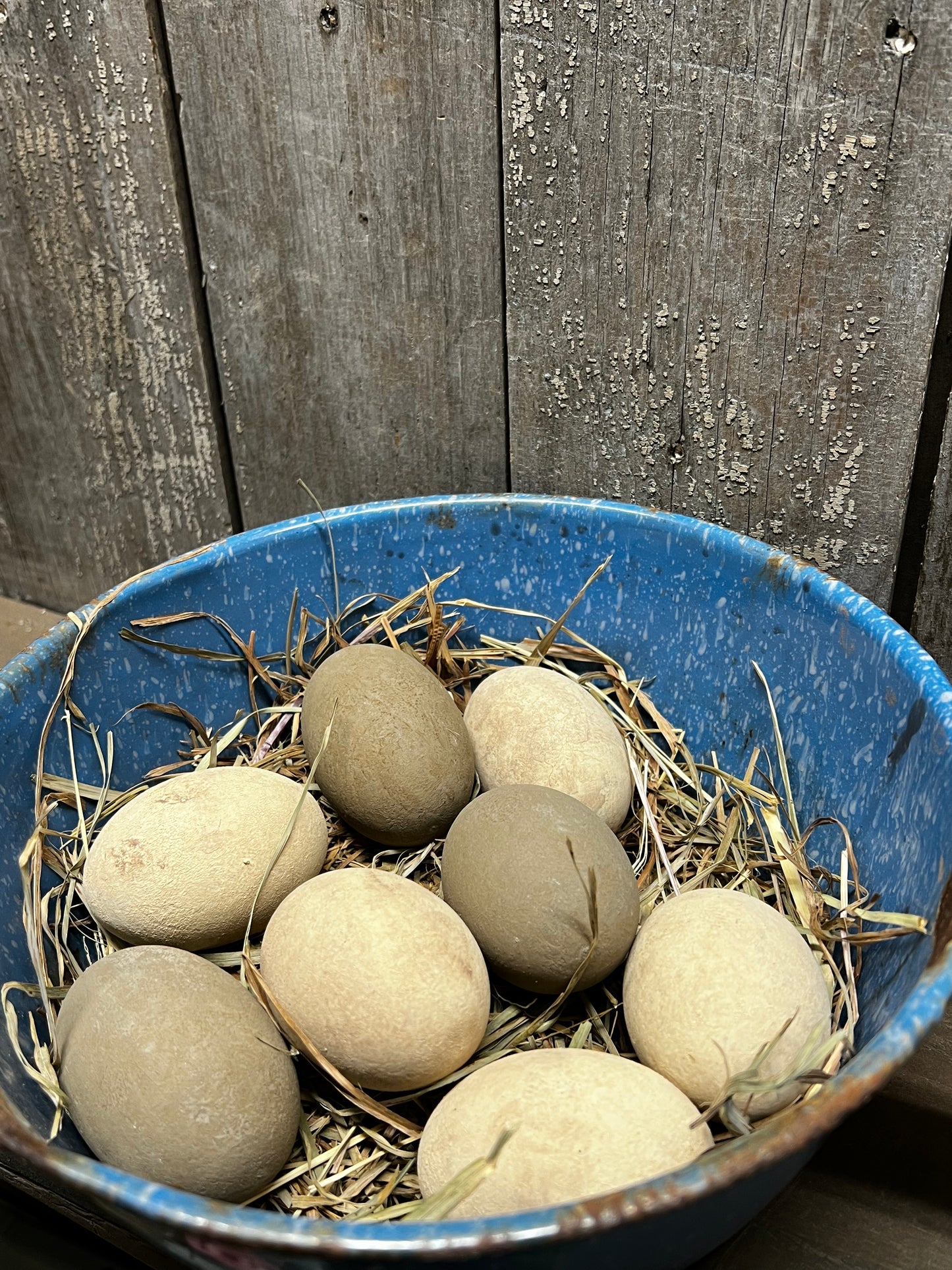 Eggs & Grass, Set/8, CREAM & BROWN