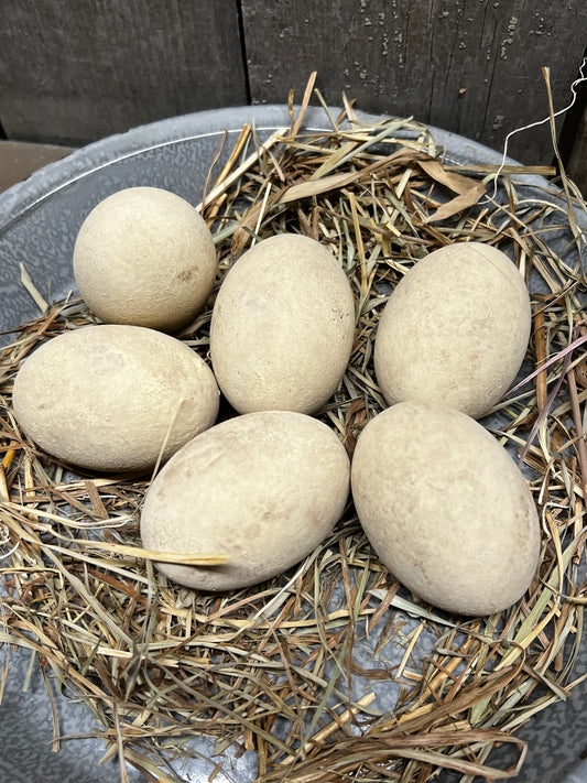 Eggs & Grass, Set/6, CREAM or CREAM/BROWN/BLUE