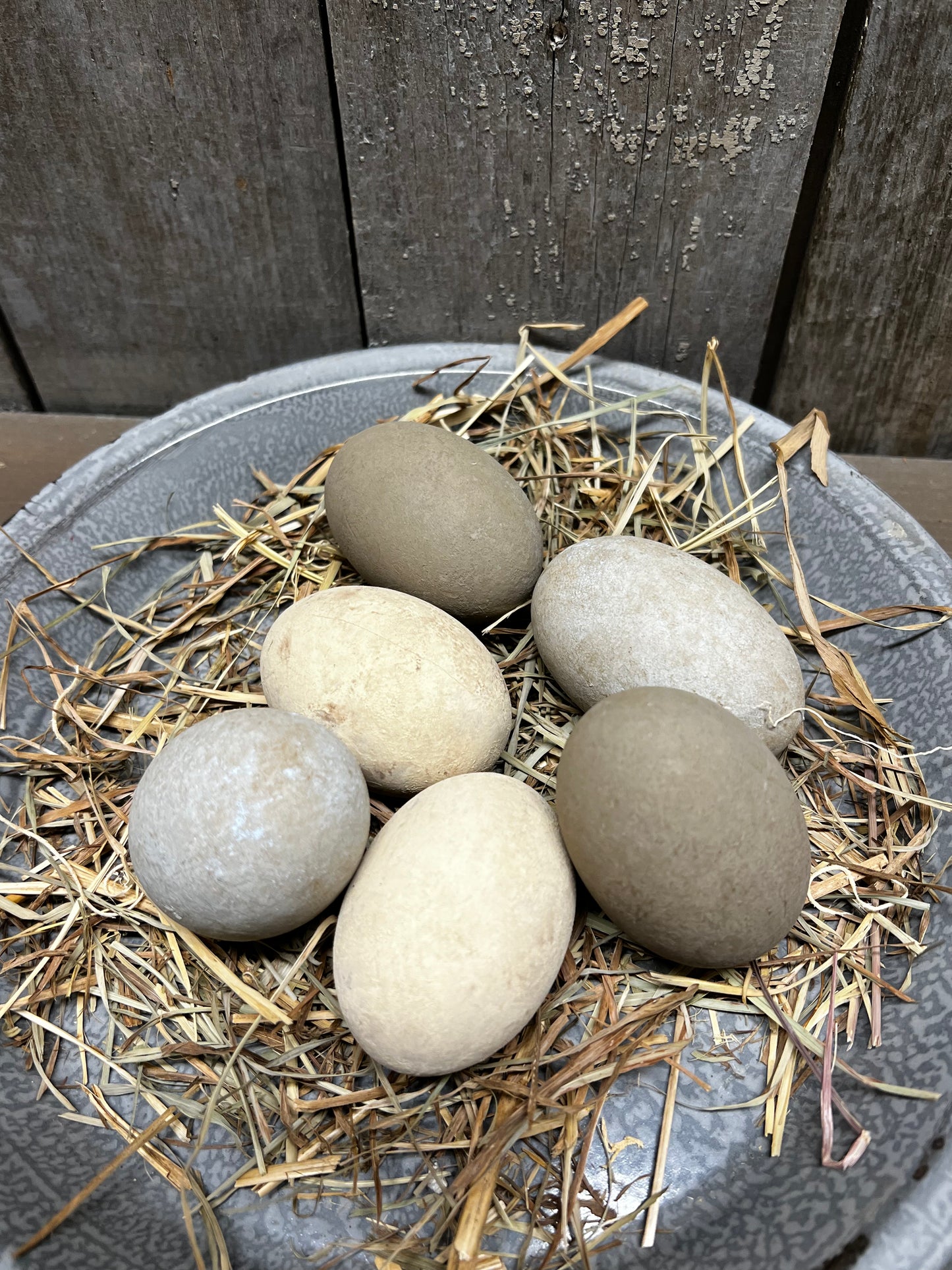 Eggs & Grass, Set/6, CREAM or CREAM/BROWN/BLUE