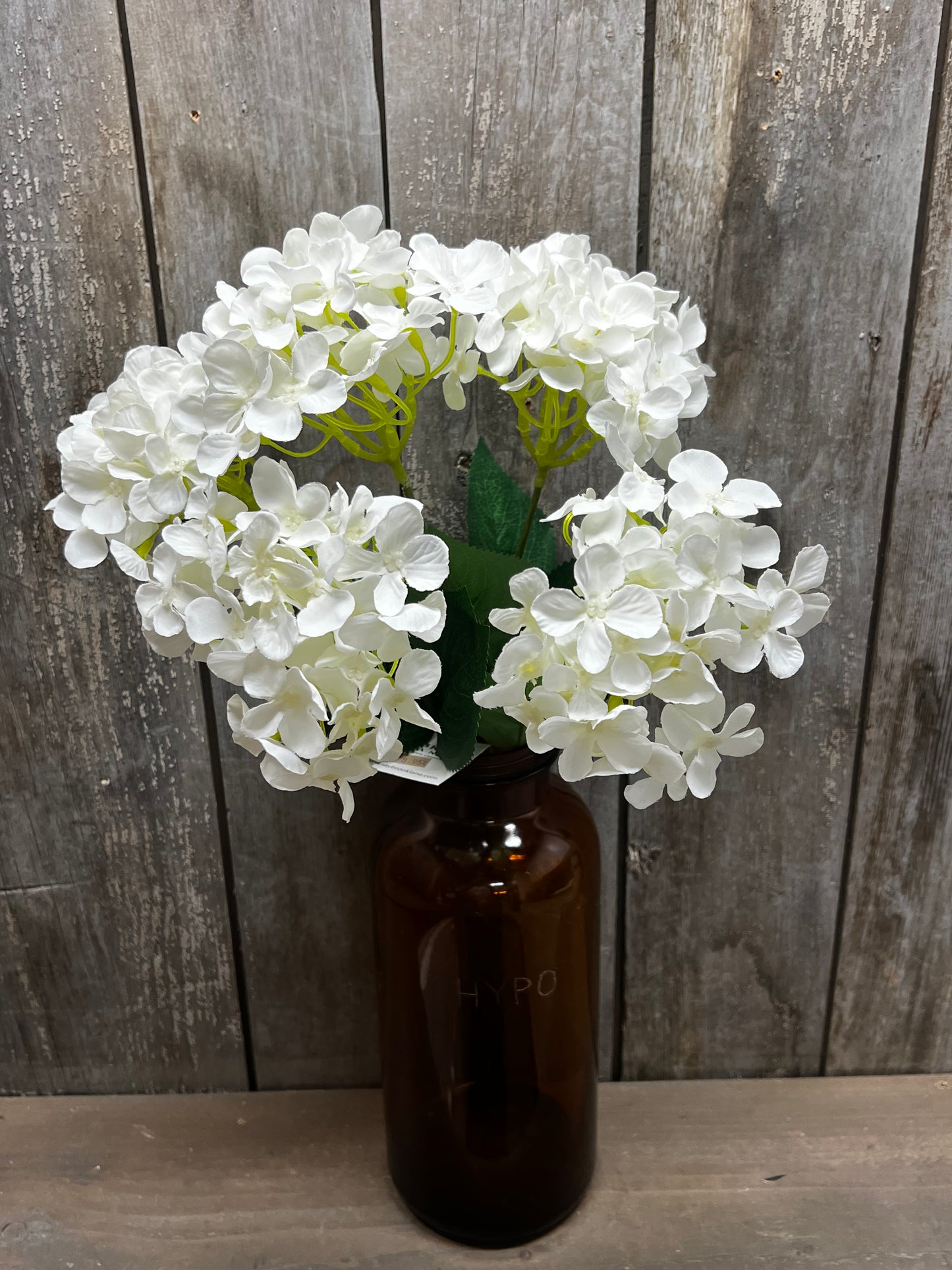 Bush, HYDRANGEA, WHITE, PINK or BLUE