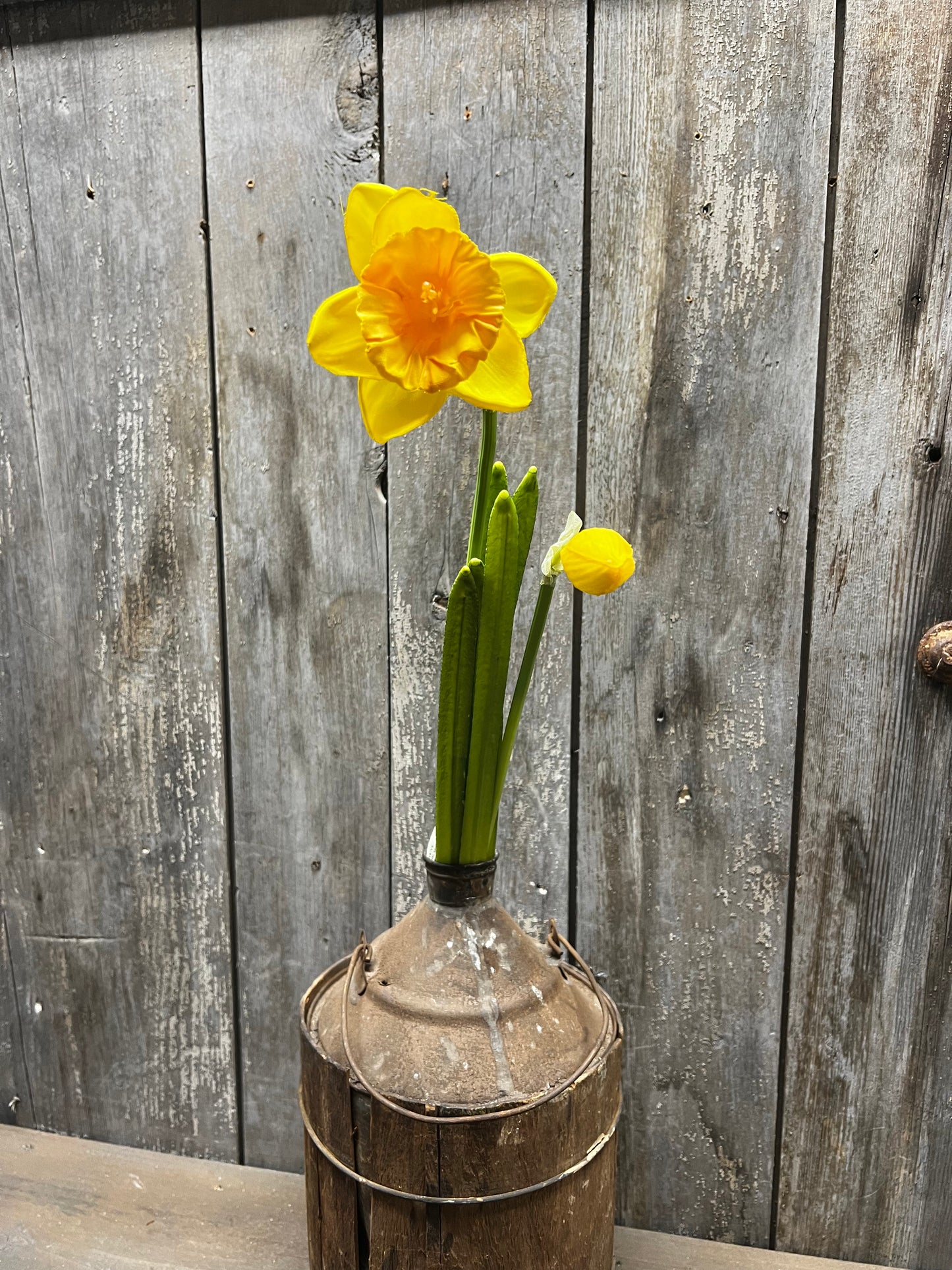Stem, 19", DAFFODIL