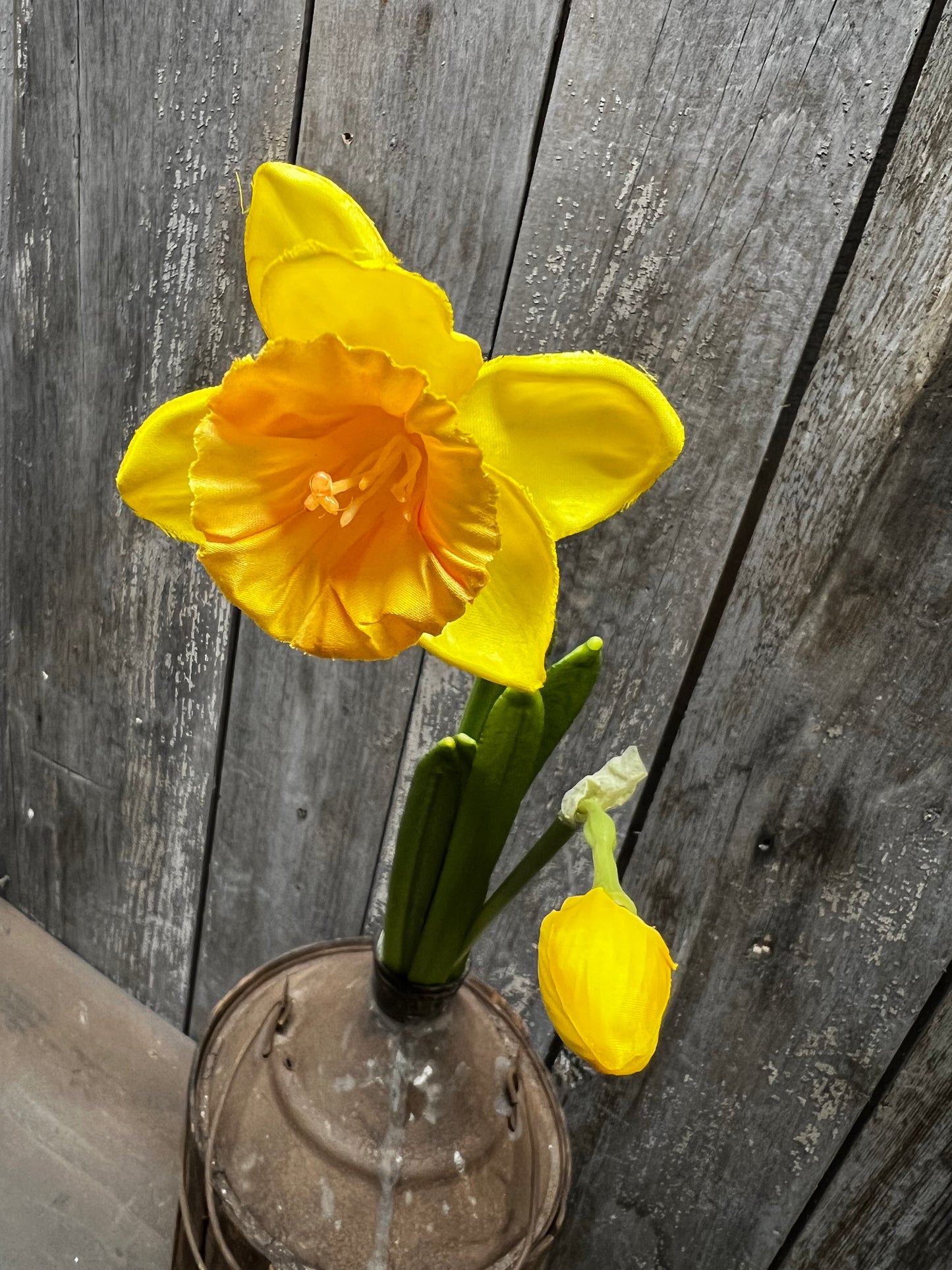 Stem, 19", DAFFODIL