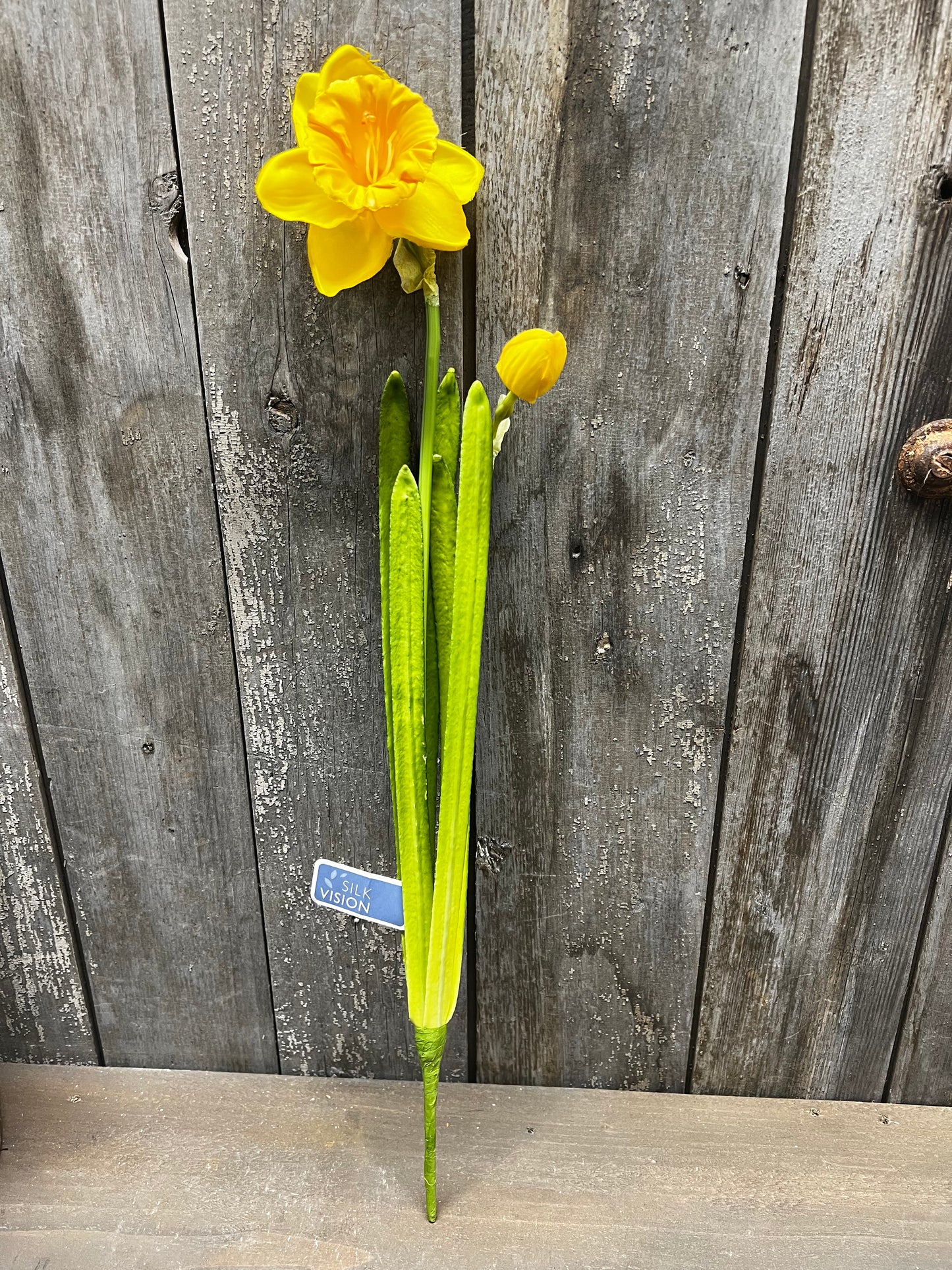 Stem, 19", DAFFODIL