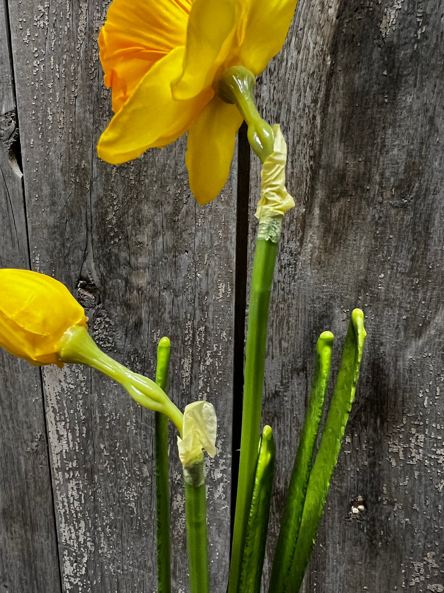 Stem, 19", DAFFODIL
