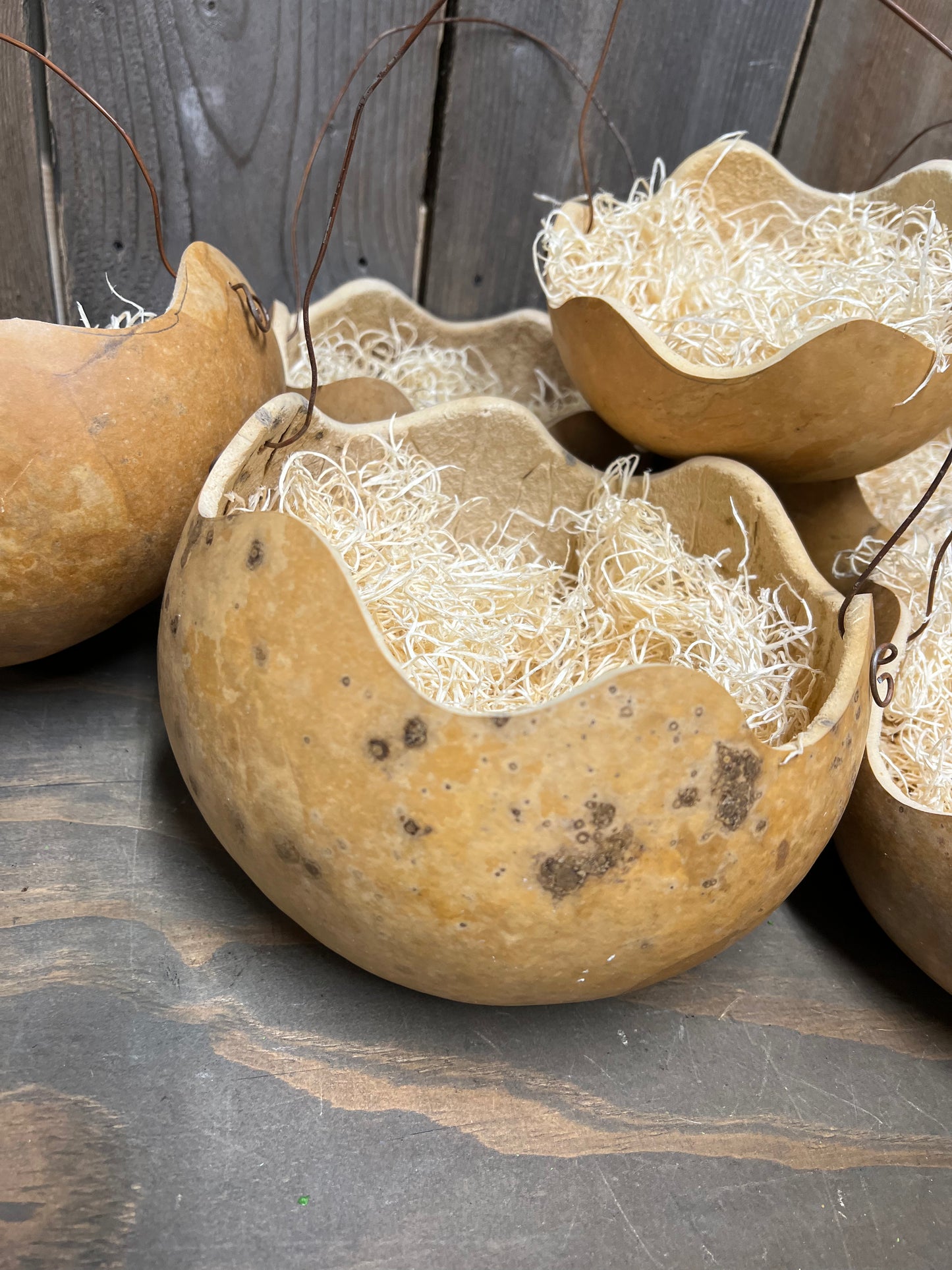 Gourd Basket, 8", ASSORTED