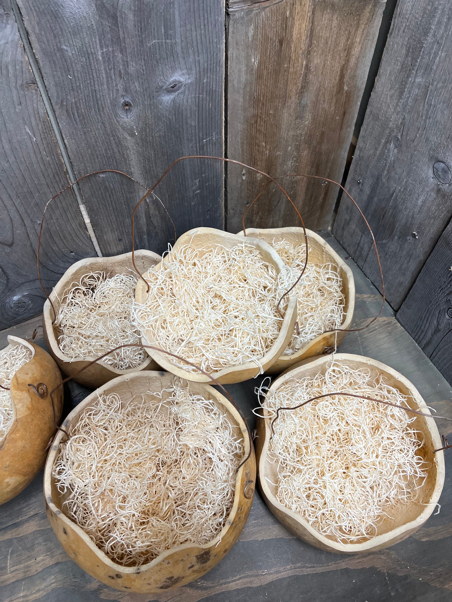 Gourd Basket, 8", ASSORTED