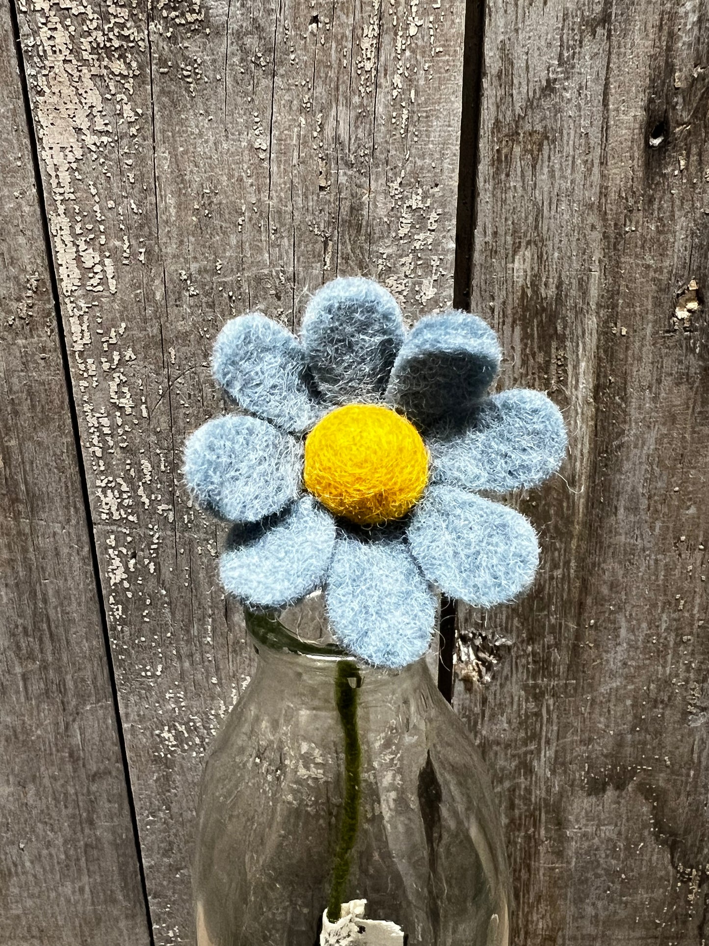 Stem, 13", ANEMONE, ROUGE or SEA BLUE