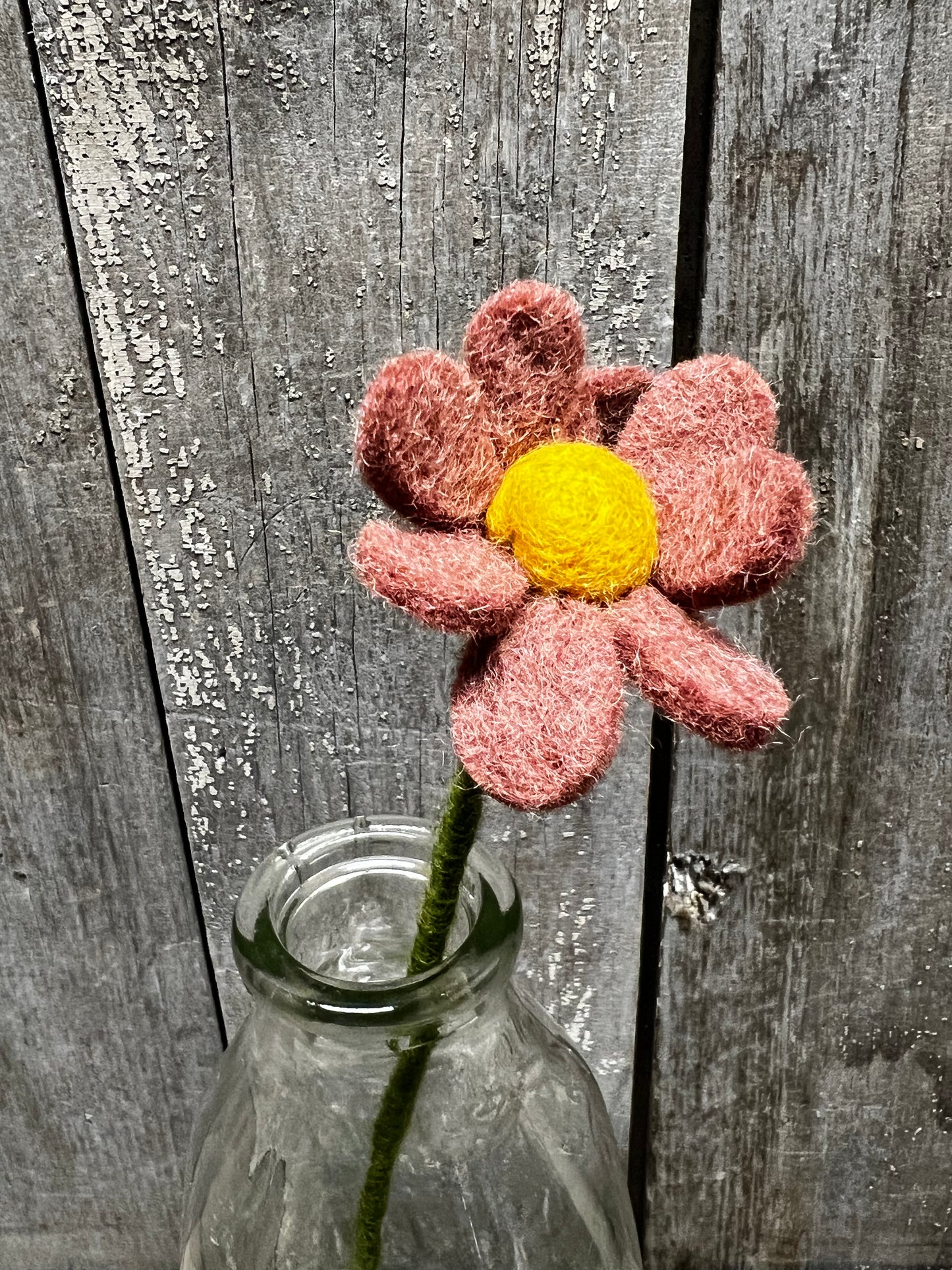 Stem, 13", ANEMONE, ROUGE or SEA BLUE