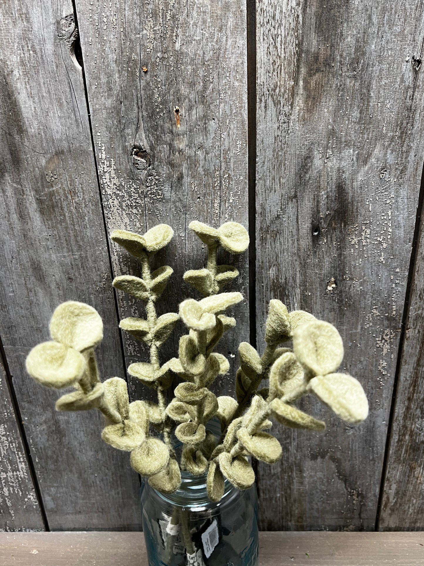 Stem, 13", ROUND LEAVES