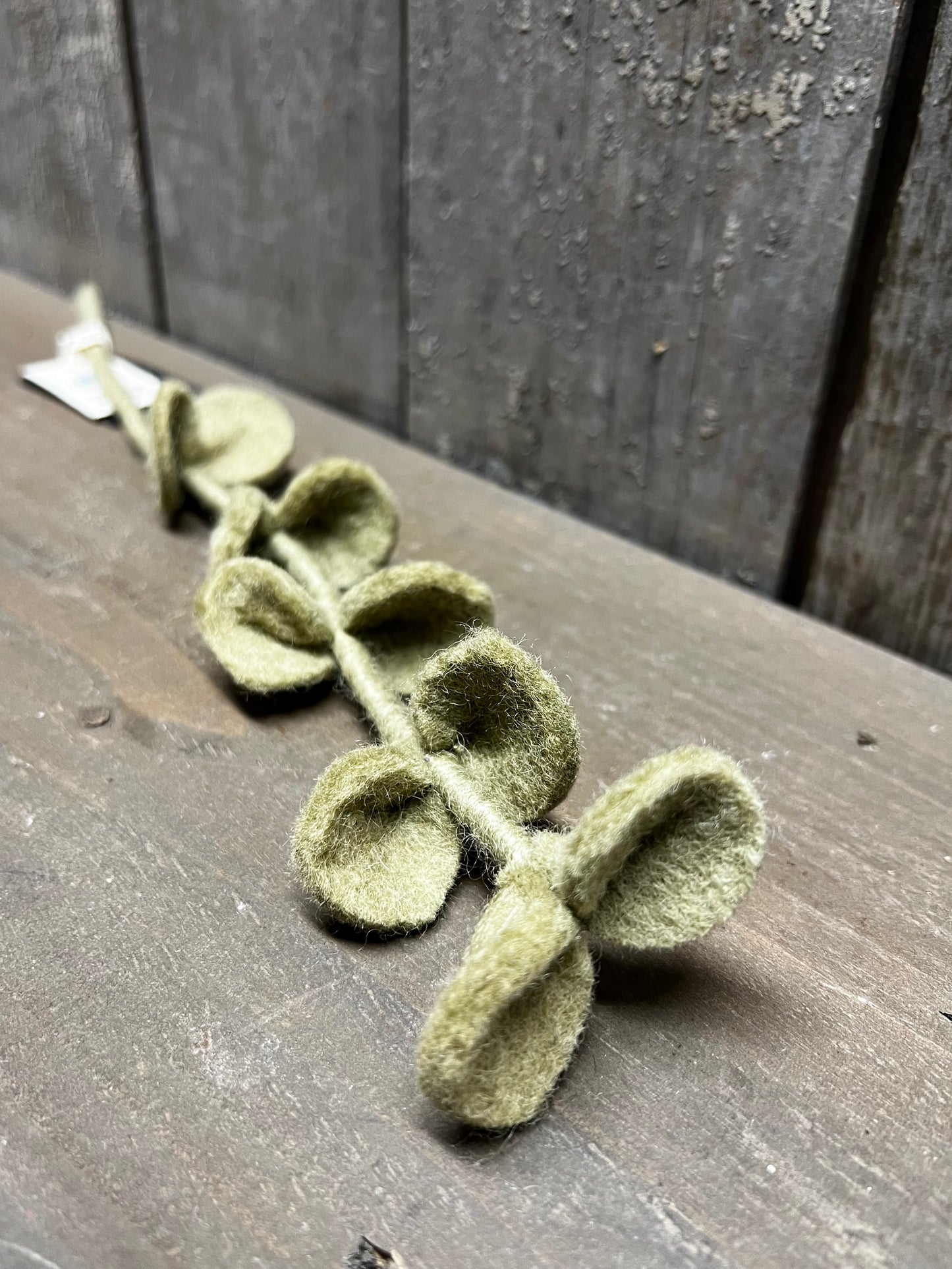 Stem, 13", ROUND LEAVES