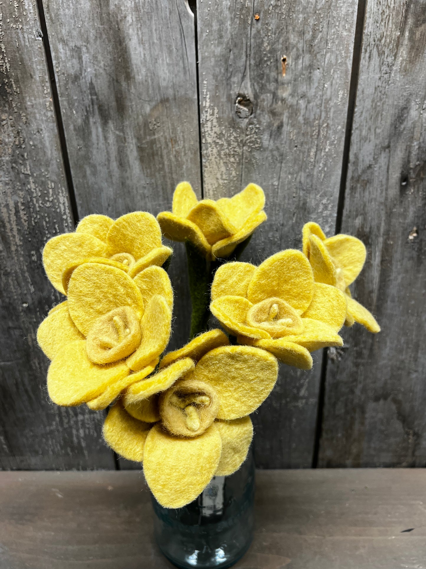 Stem, 13", DAFFODIL