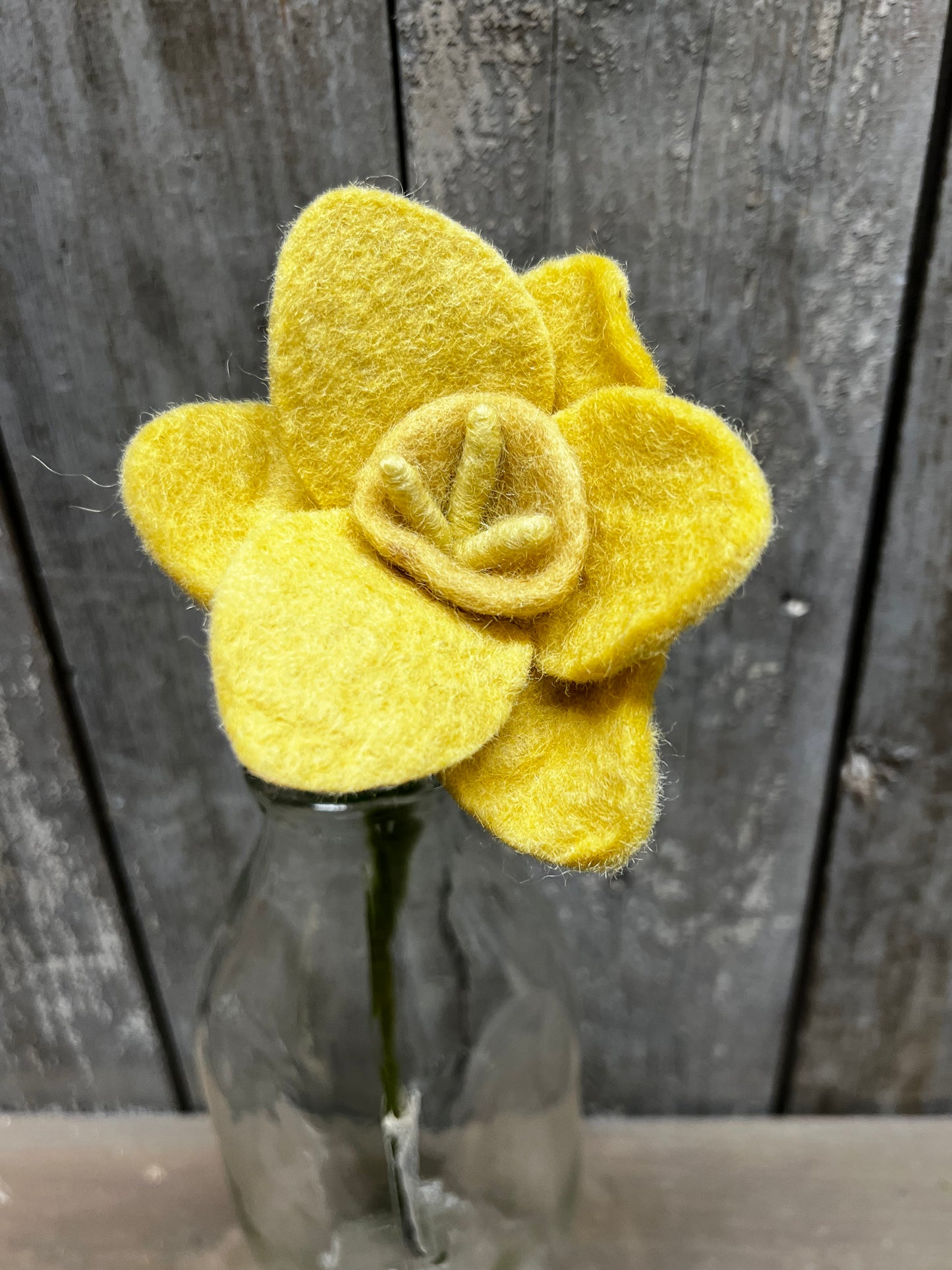 Stem, 13", DAFFODIL