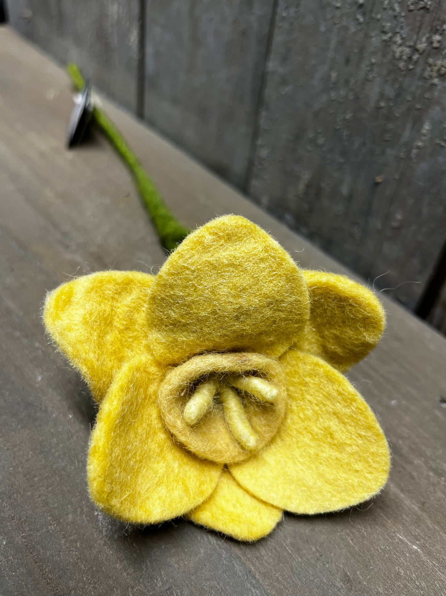 Stem, 13", DAFFODIL