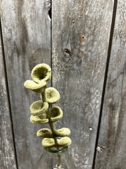 Stem, 13", ROUND LEAVES
