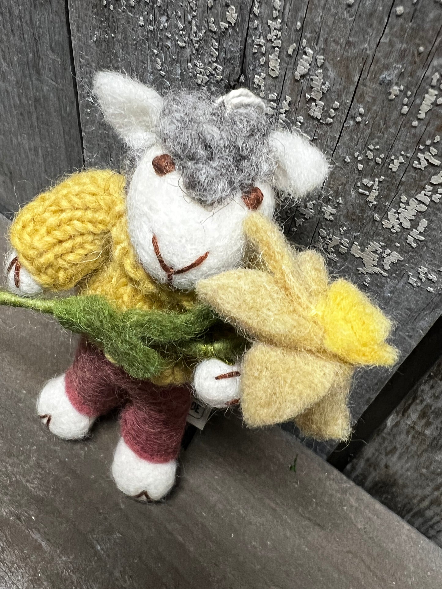 Sheep, Small Felted, GREY W/ DUSTY RED PANTS & NARCISSUS FLOWER