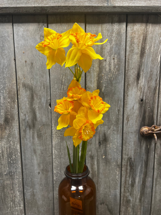 Pick, 26", DOUBLE DAFFODILS