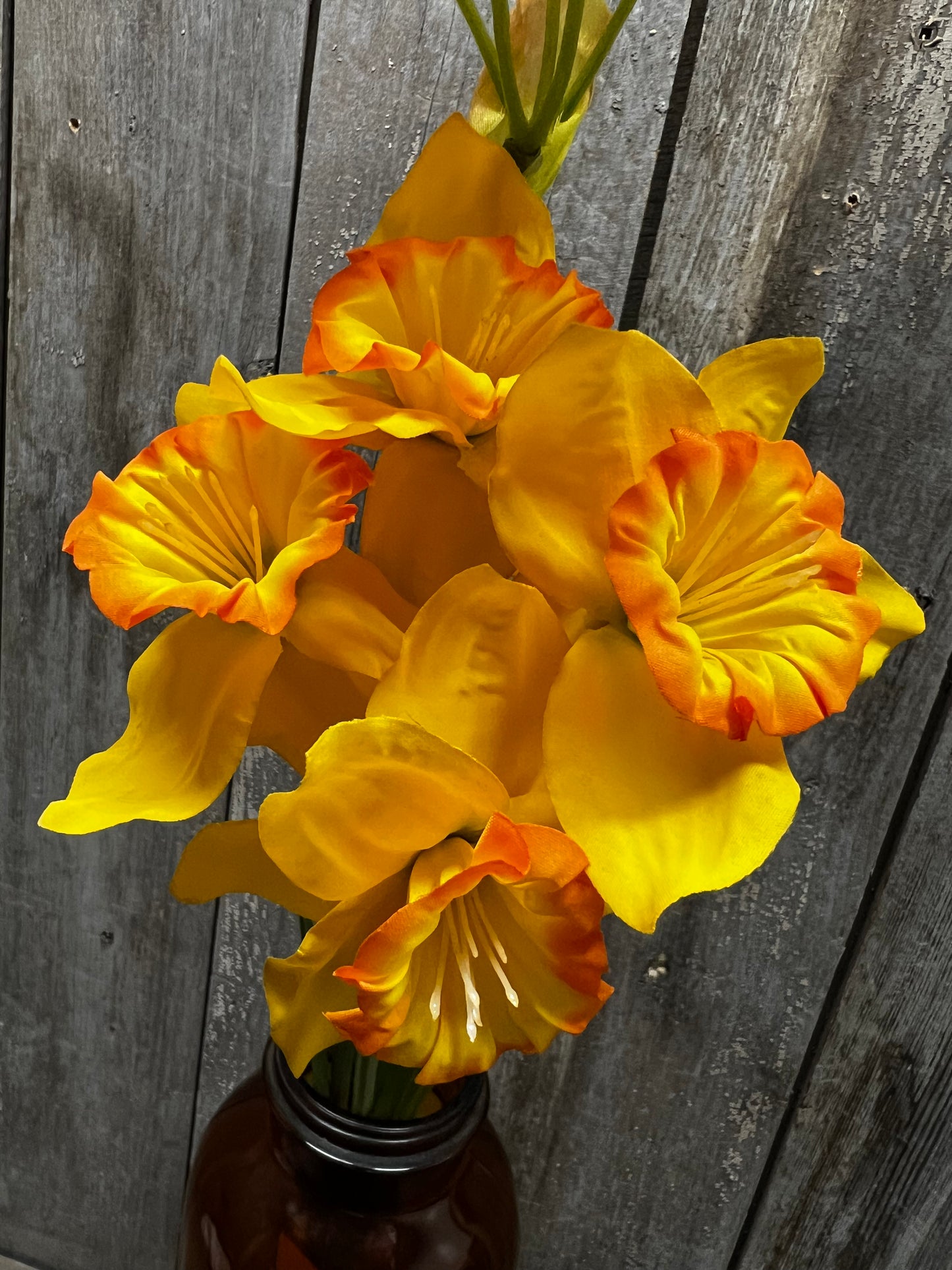 Pick, 26", DOUBLE DAFFODILS