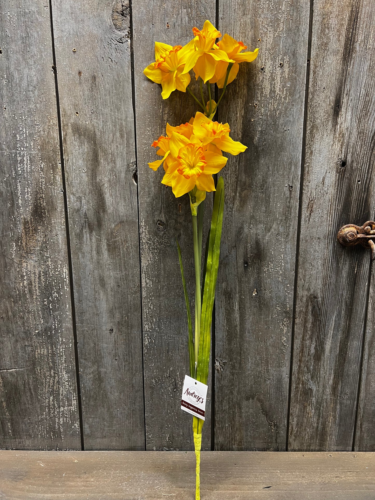Pick, 26", DOUBLE DAFFODILS