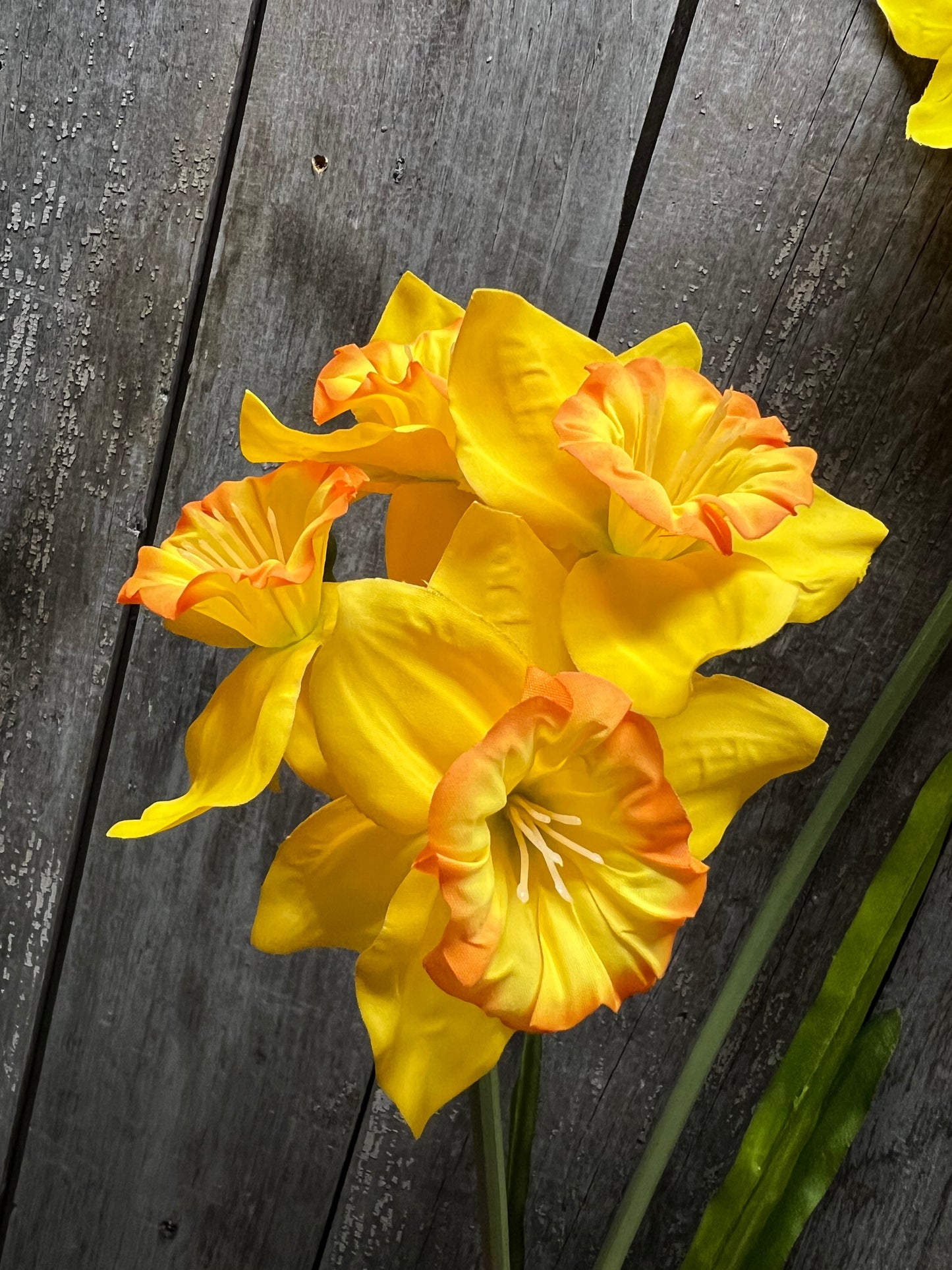 Pick, 26", DOUBLE DAFFODILS