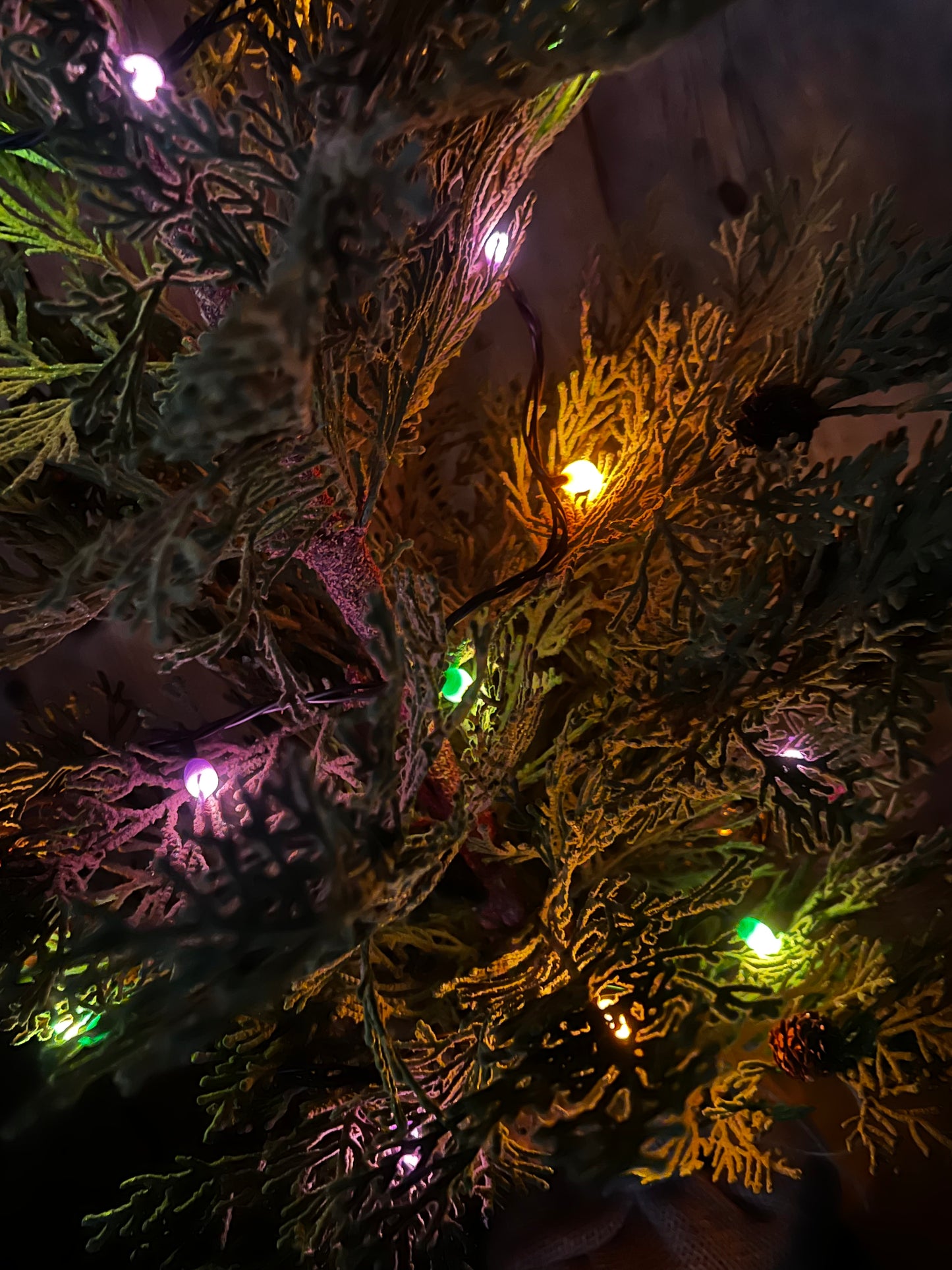Lights, 50 Count, Hand Dipped Silicone, ELECTRIC, Assorted Colors