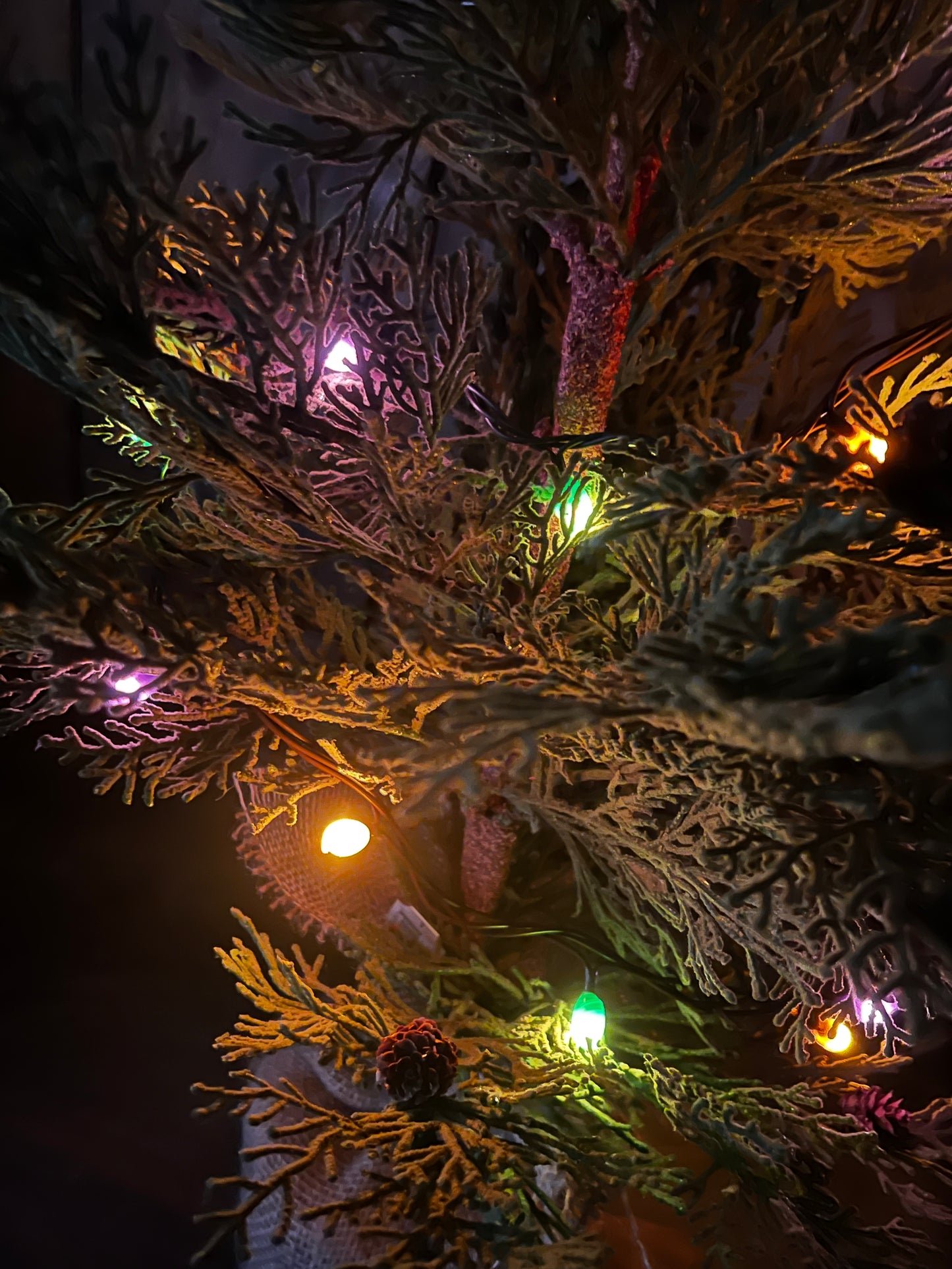 Lights, 50 Count, Hand Dipped Silicone, ELECTRIC, Assorted Colors