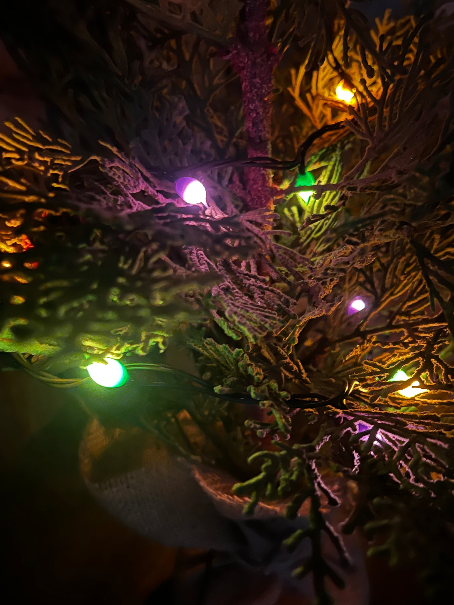 Lights, 35 Count, Hand Dipped Silicone, BATTERY, Assorted Colors