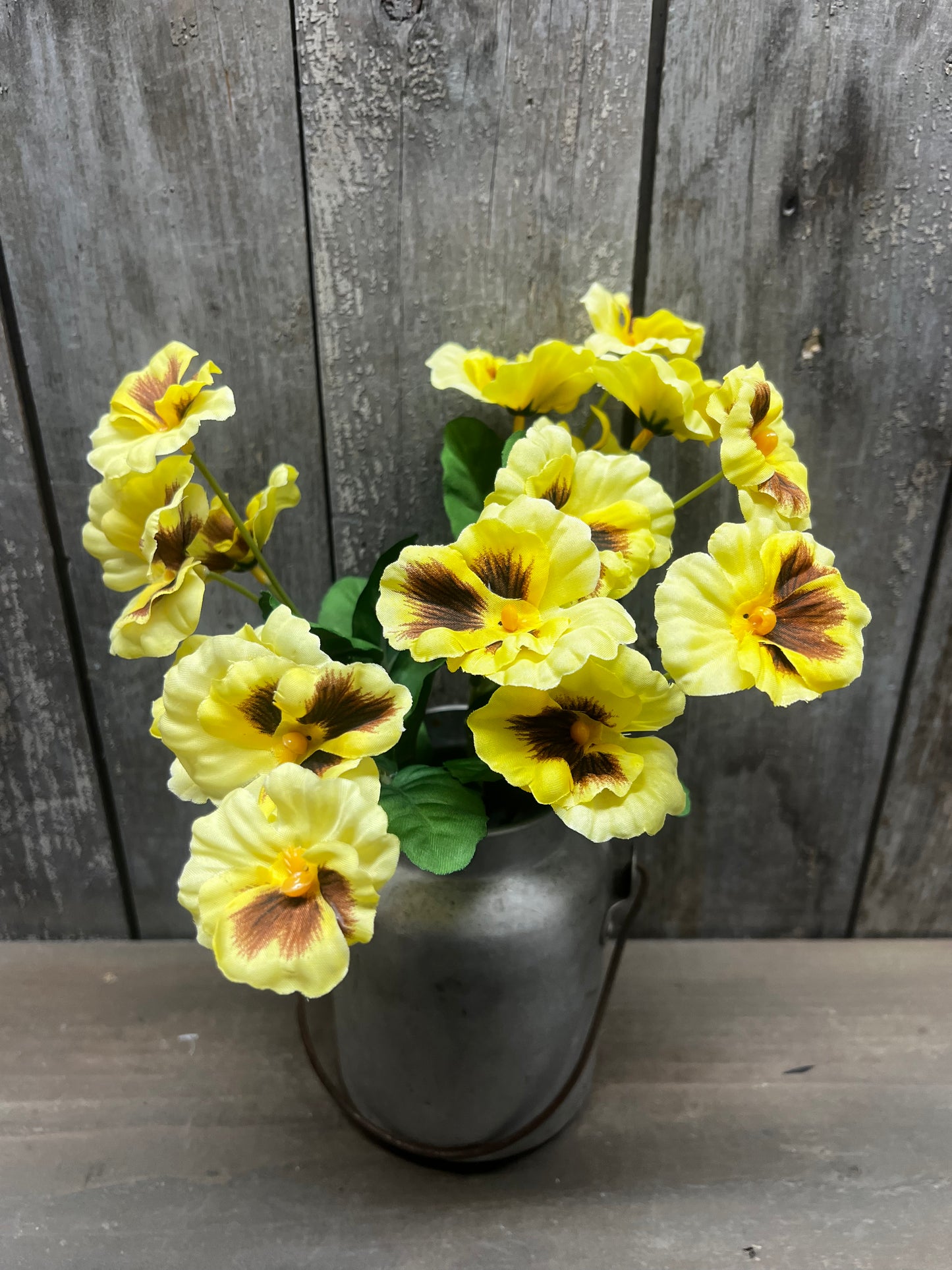 Bush, 12", PANSY, YELLOW or PURPLE