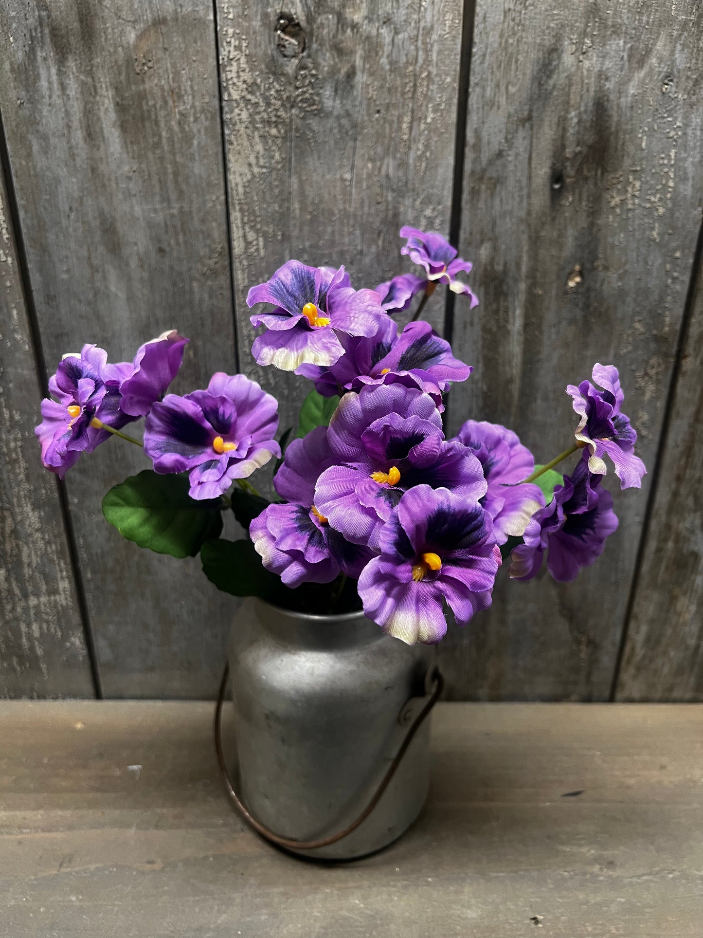 Bush, 12", PANSY, YELLOW or PURPLE