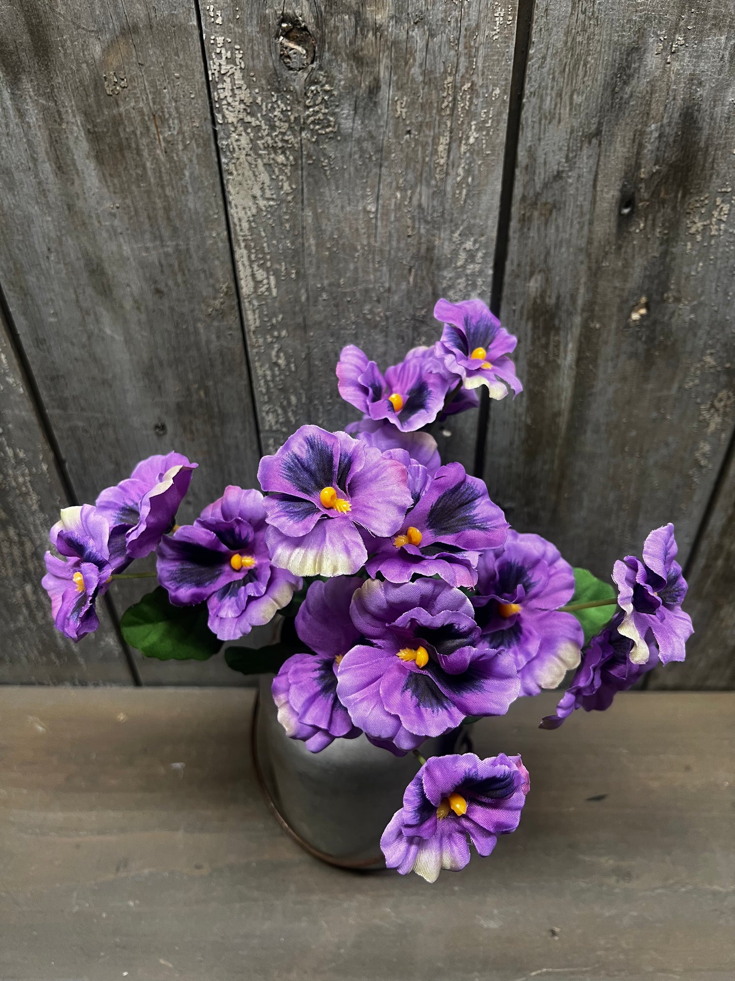 Bush, 12", PANSY, YELLOW or PURPLE