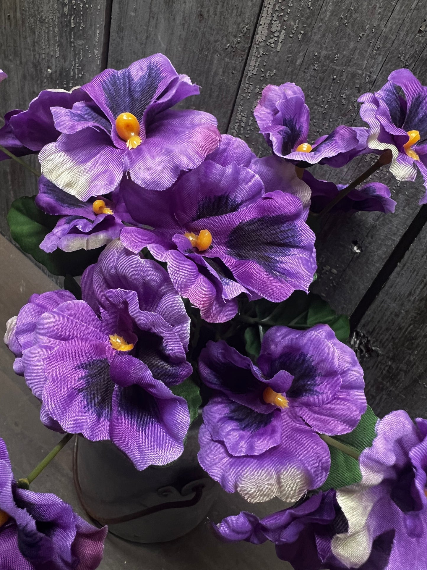 Bush, 12", PANSY, YELLOW or PURPLE