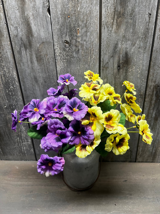 Bush, 12", PANSY, YELLOW or PURPLE