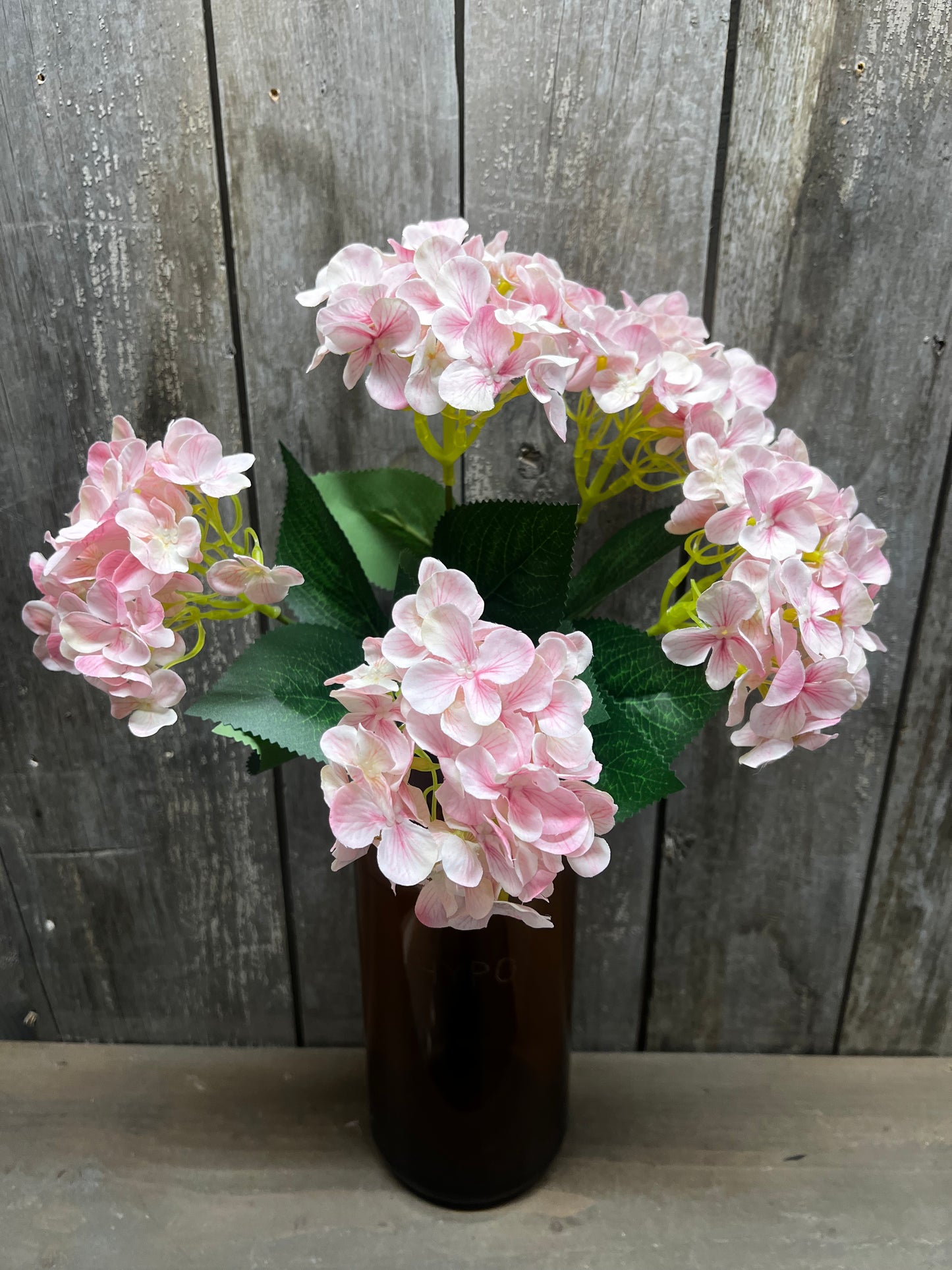 Bush, HYDRANGEA, WHITE, PINK or BLUE