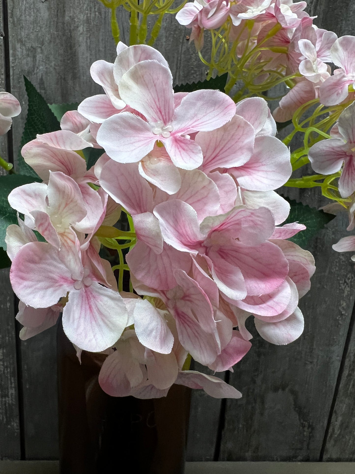 Bush, HYDRANGEA, WHITE, PINK or BLUE