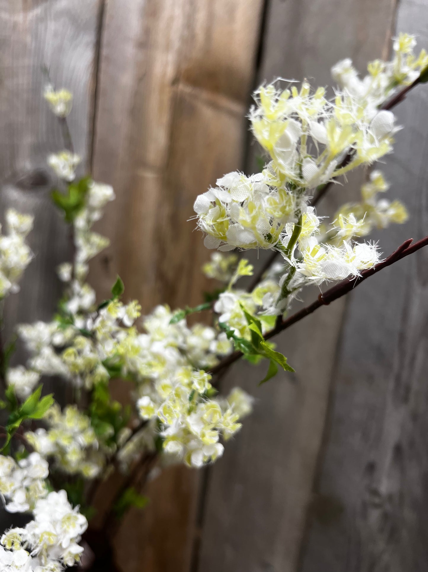 Branch, 35", CREAM LILAC
